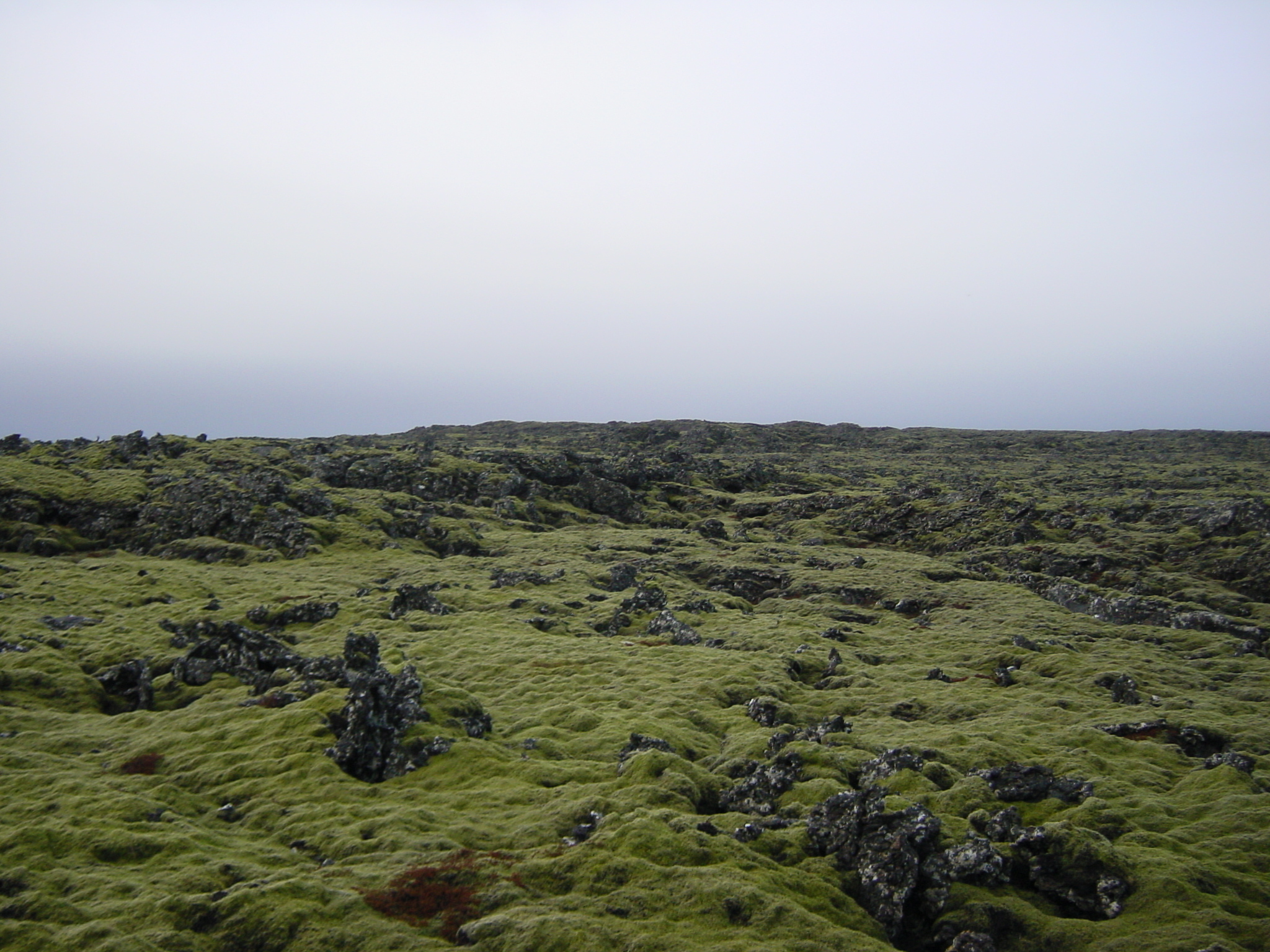 照片 冰岛(Iceland) 雷恰内斯半岛(Reykjanes) 2003-03 23