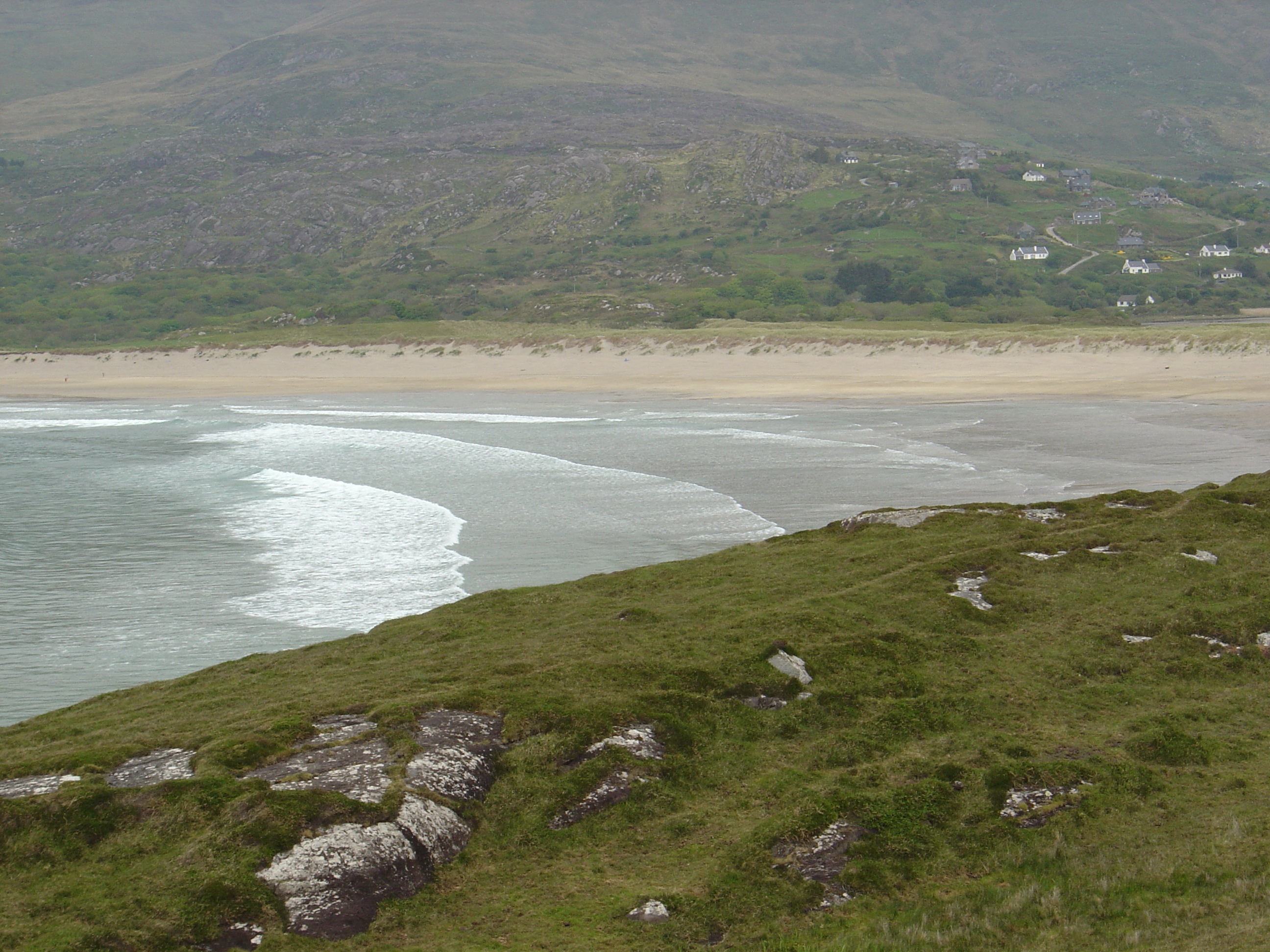 照片 爱尔兰(Ireland) 凯里郡(Kerry) 帕克纳西拉(Parknasilla) 2004-05 66