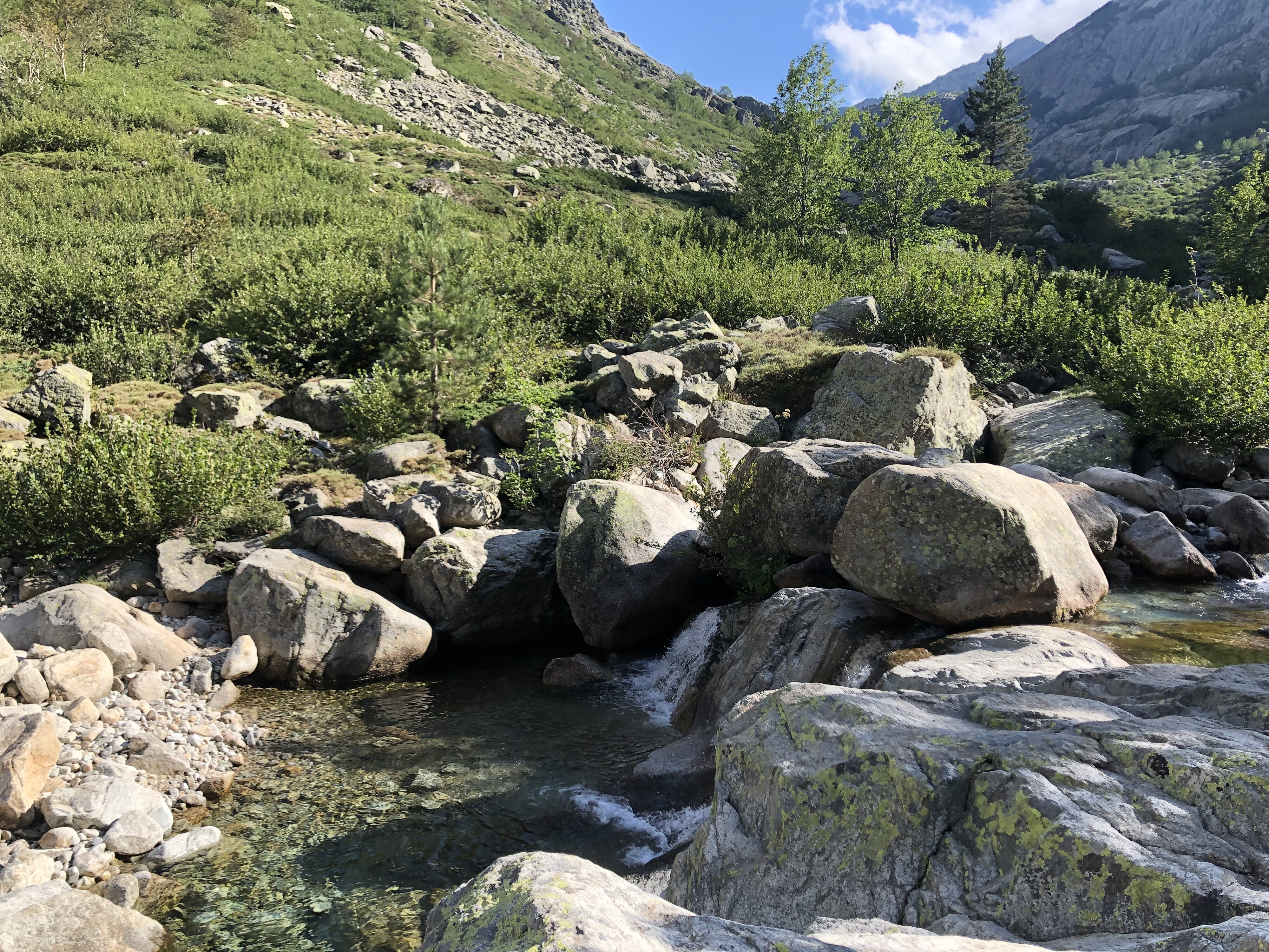 照片 法国(France) 科西嘉岛(Corsica) 雷斯托尼卡山谷(La Restonica) 2020-07 0