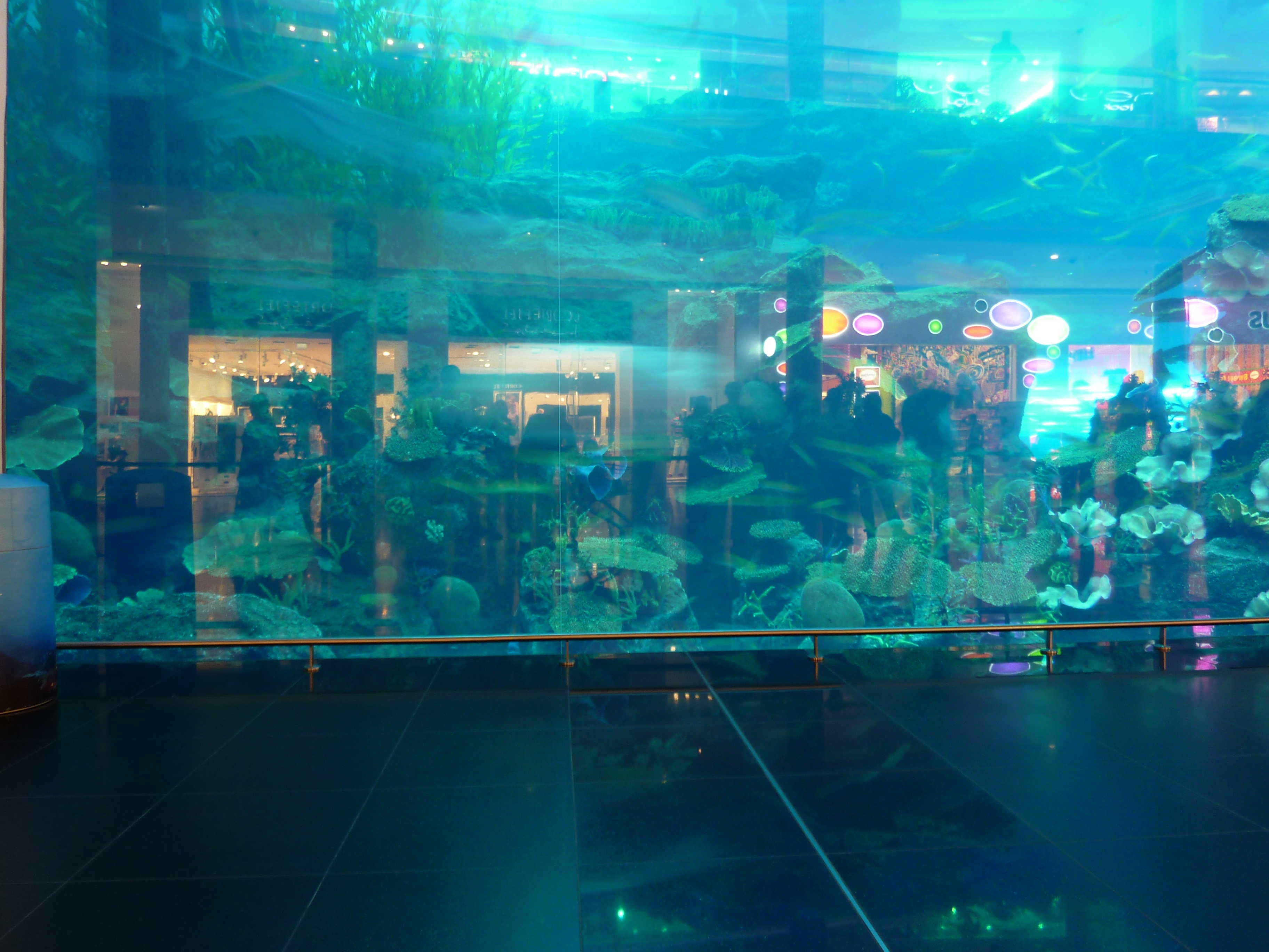 照片 阿联酋(United Arab Emirates) 迪拜(Dubai) 迪拜购物中心(The Dubai Mall) 2009-12 68