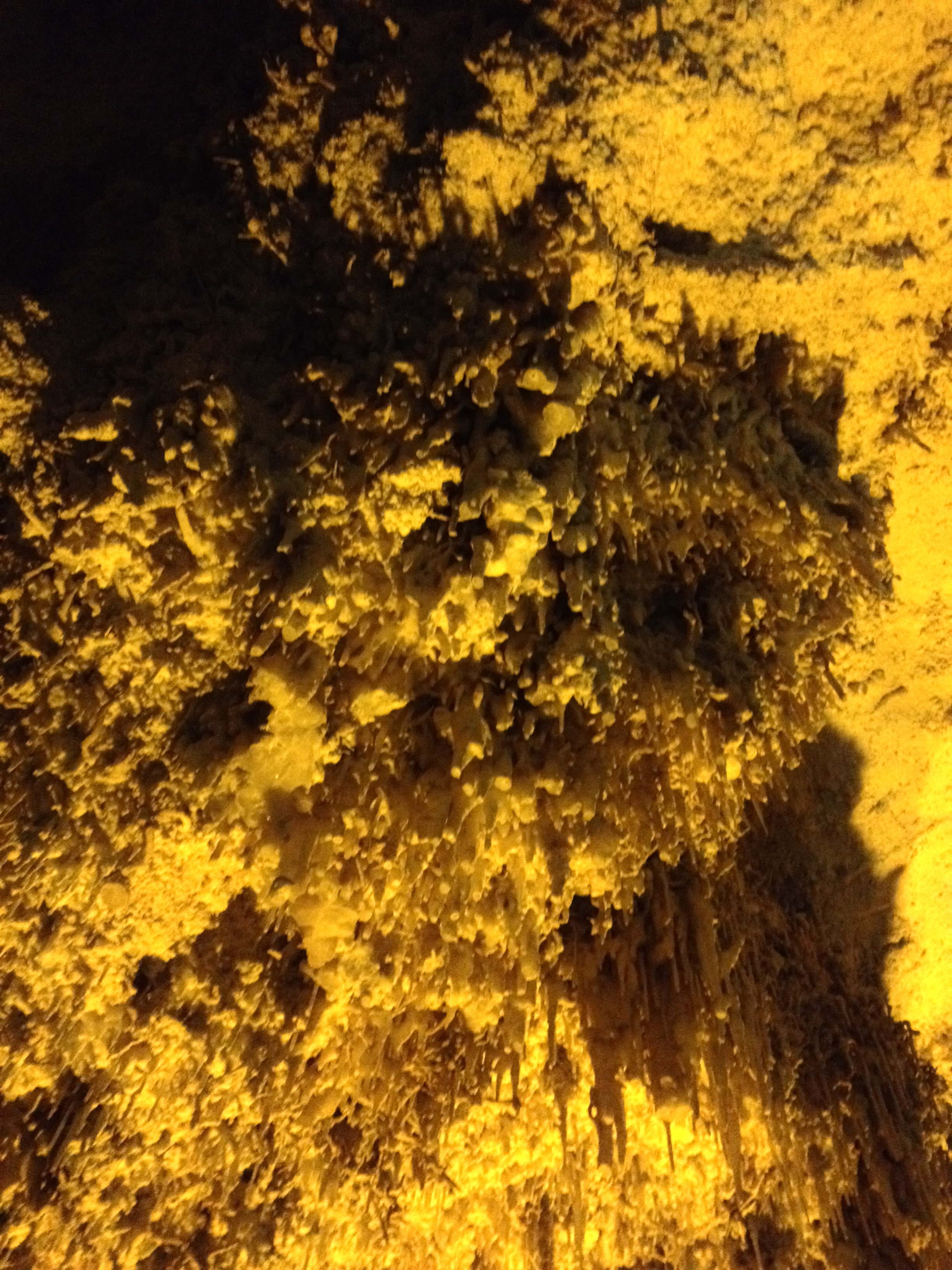 照片 意大利(Italy) 撒丁岛(Sardinia) 卡恰角(Capo Caccia) 2015-06 67
