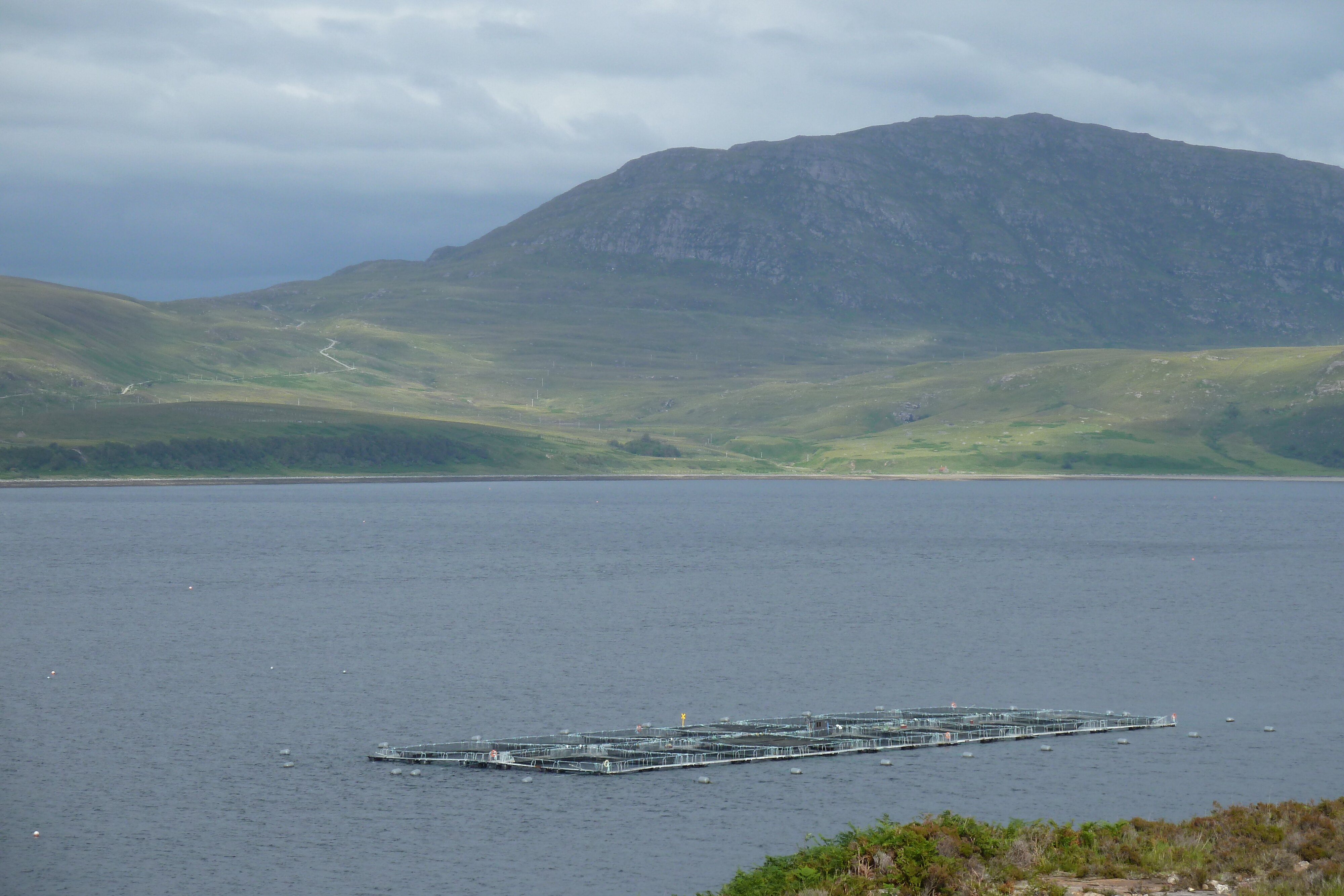照片 英国(United Kingdom) 韦斯特罗斯(Wester Ross) 2011-07 116