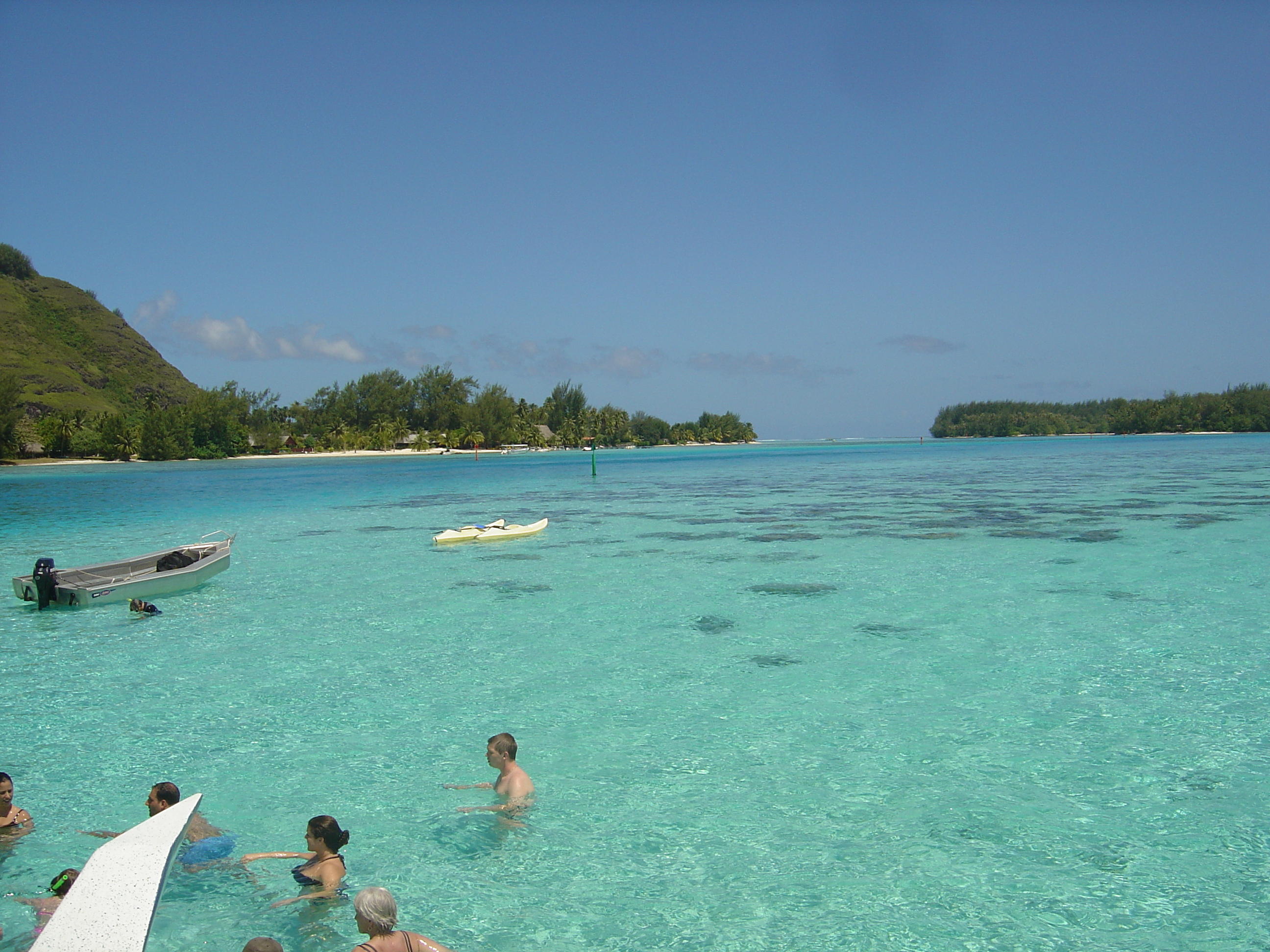 照片 波利尼西亚(Polynesia) 莫雷阿岛(Moorea) 2006-04 190