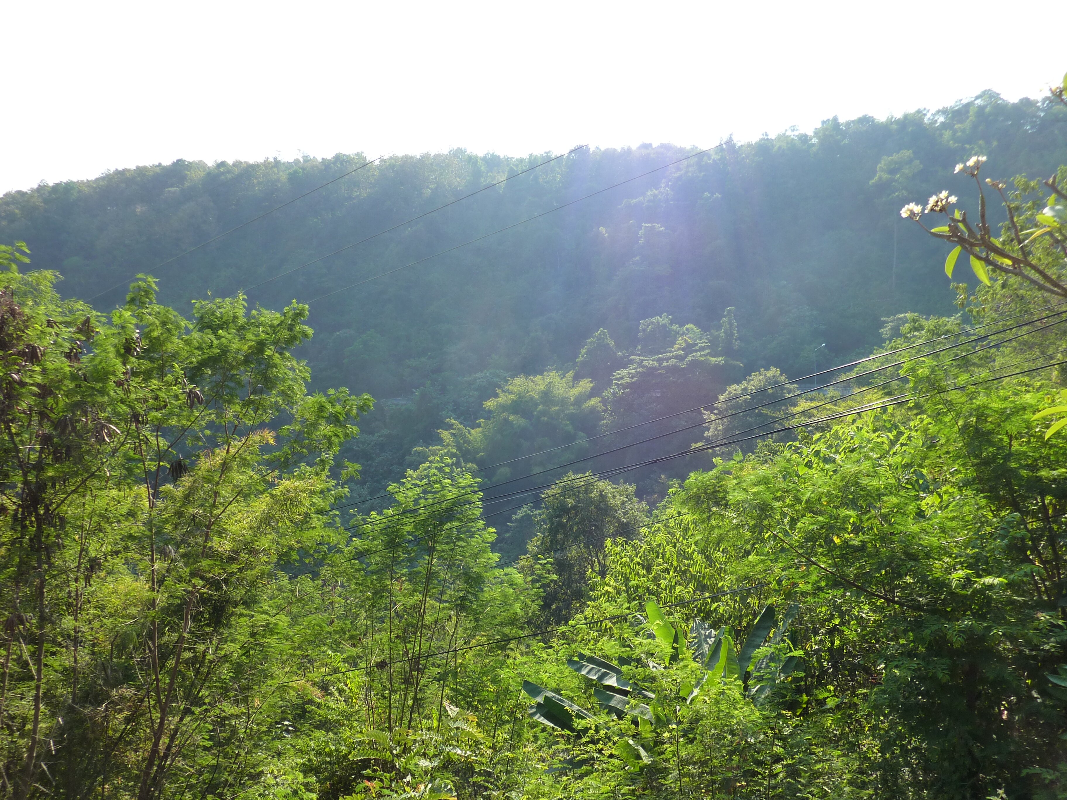 照片 泰国(Thailand) 清迈至彭世洛公路(Chiang Mai to Phitsanulok road) 2009-12 12