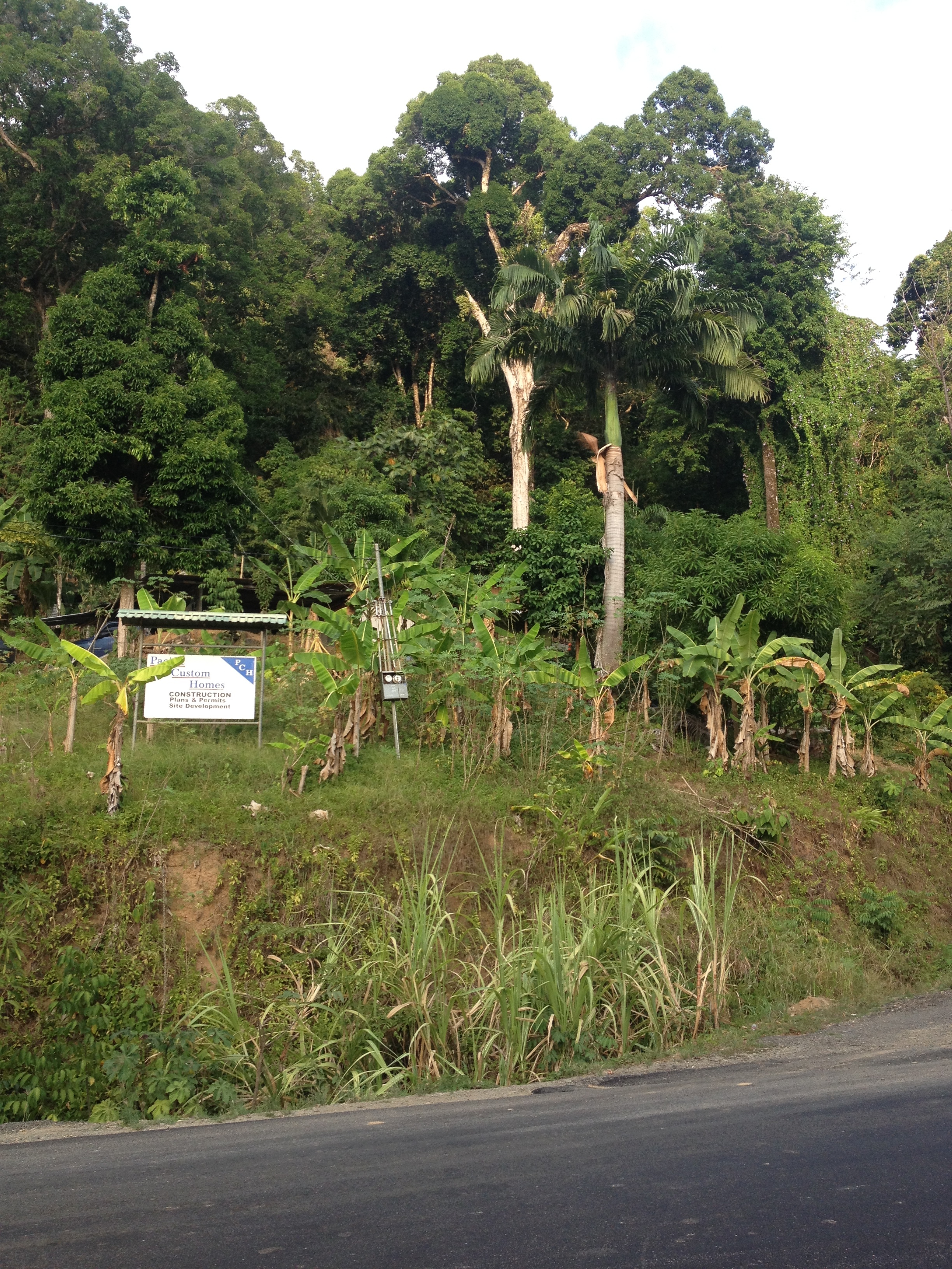 照片 哥斯达黎加(Costa Rica) 多米尼卡尔(Dominical) 2015-03 122