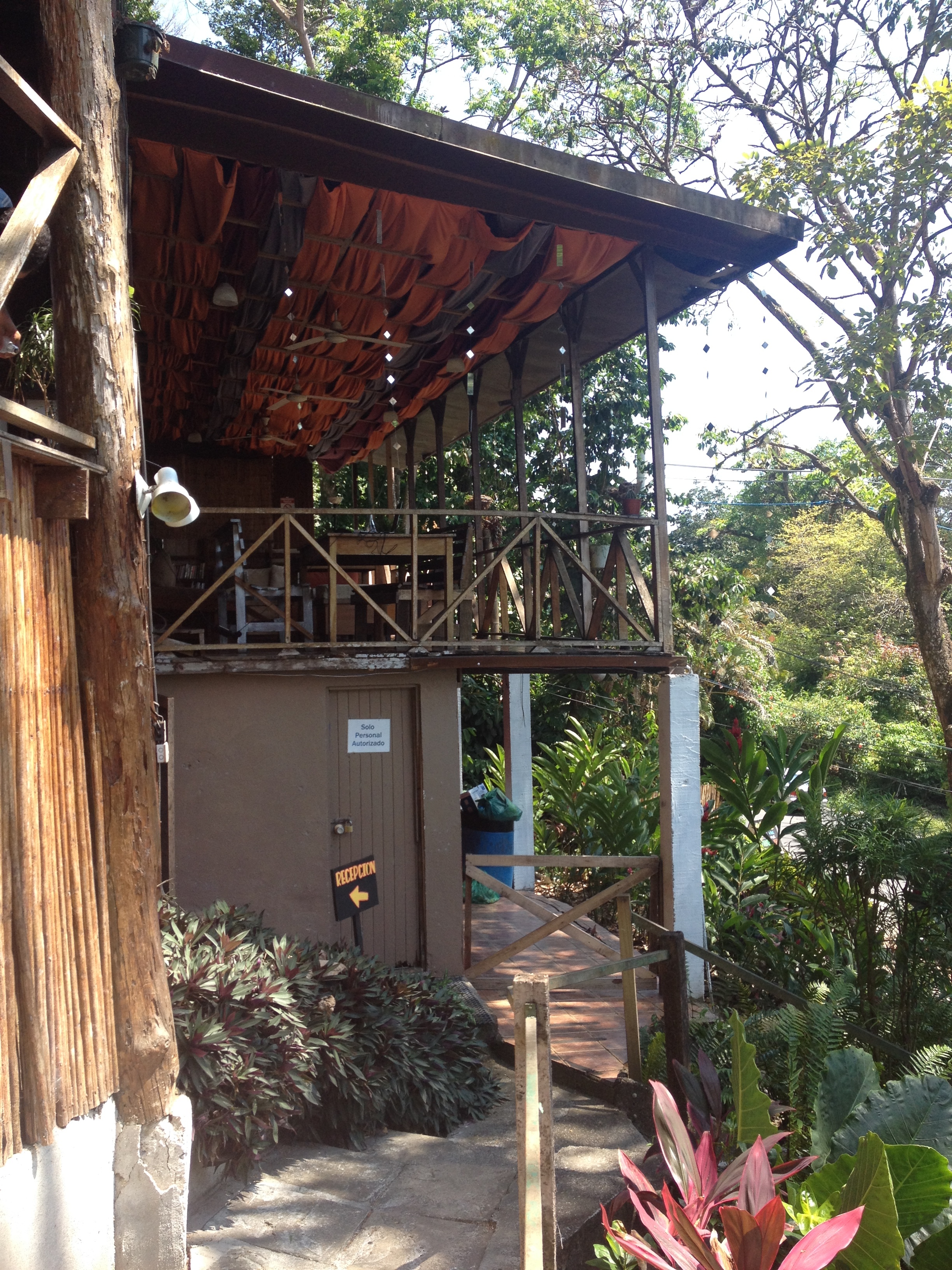 照片 哥斯达黎加(Costa Rica) 曼努埃尔安东尼奥(Manuel Antonio) 2015-03 76