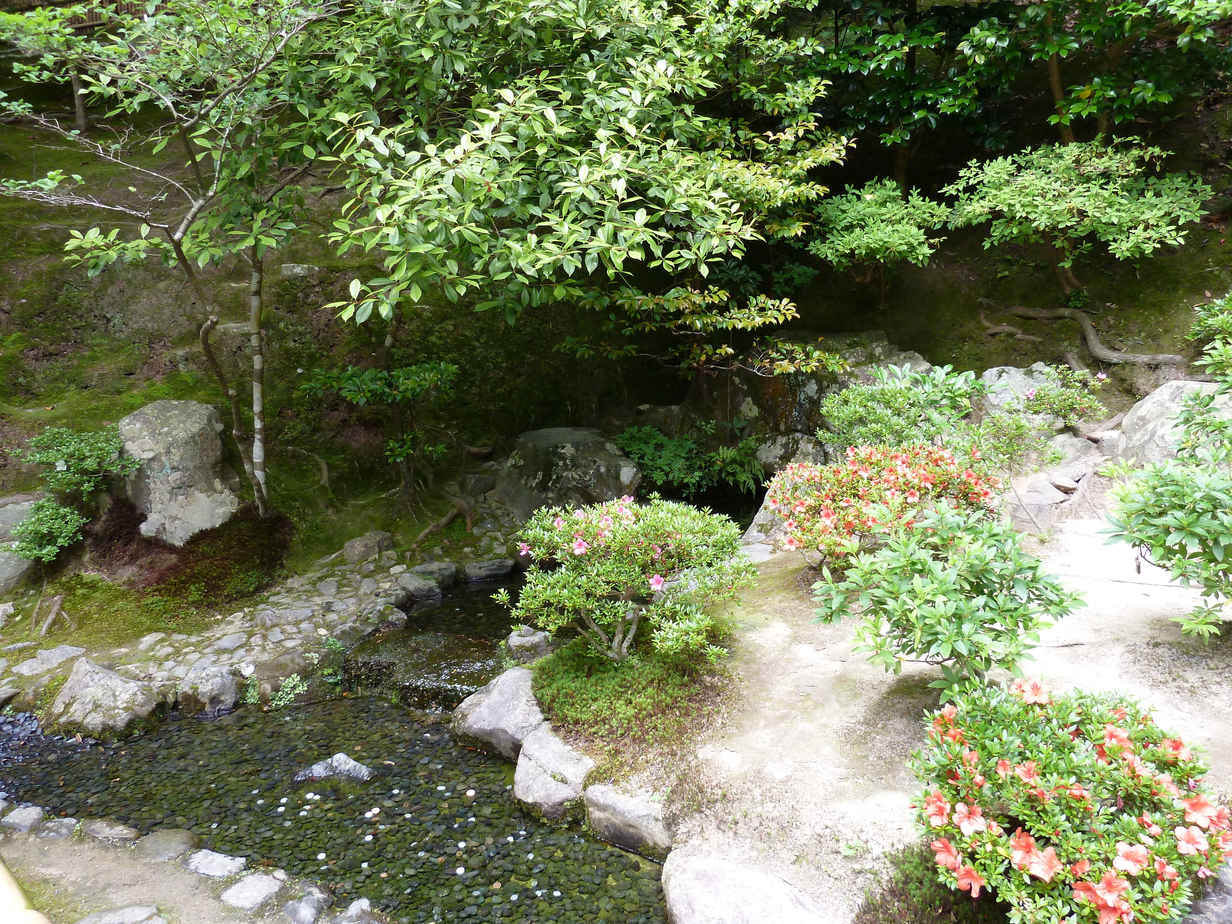 照片 日本(Japan) 京都(Kyoto) 银阁寺(Ginkakuji Temple(Silver Pavilion)) 2010-06 17