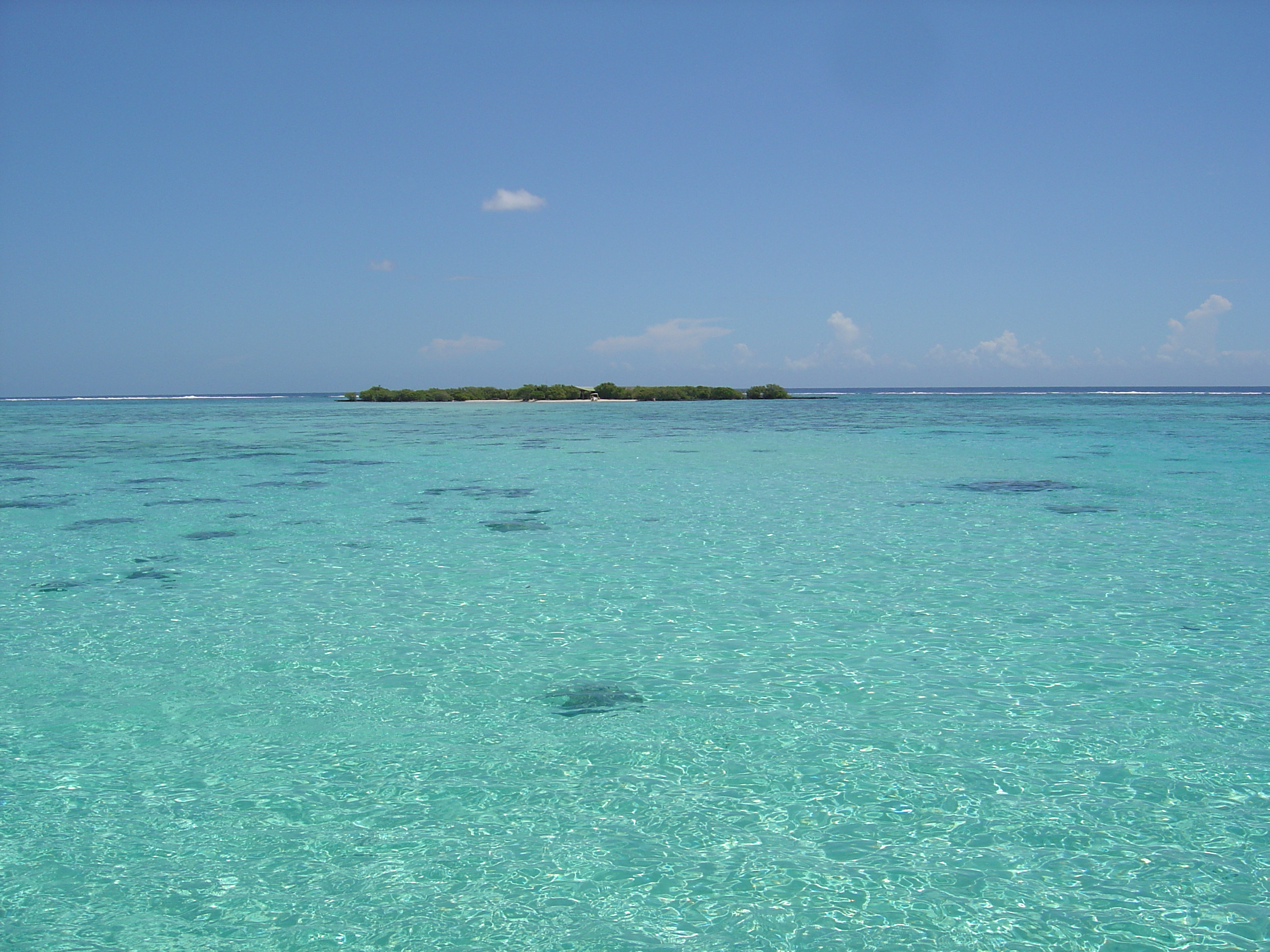 照片 波利尼西亚(Polynesia) 莫雷阿岛(Moorea) 2006-04 91