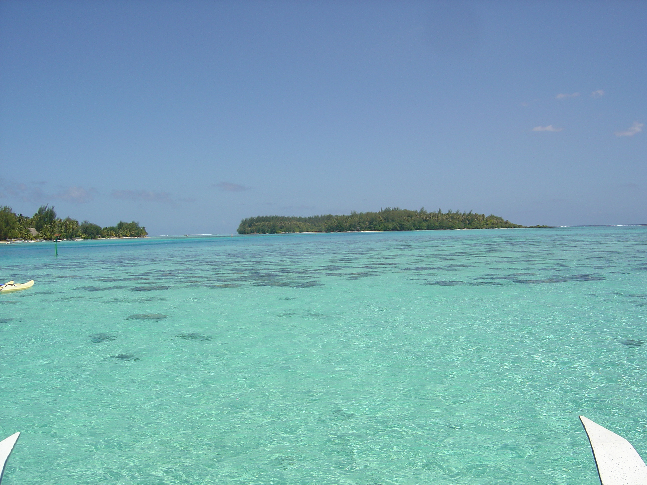 照片 波利尼西亚(Polynesia) 莫雷阿岛(Moorea) 2006-04 93