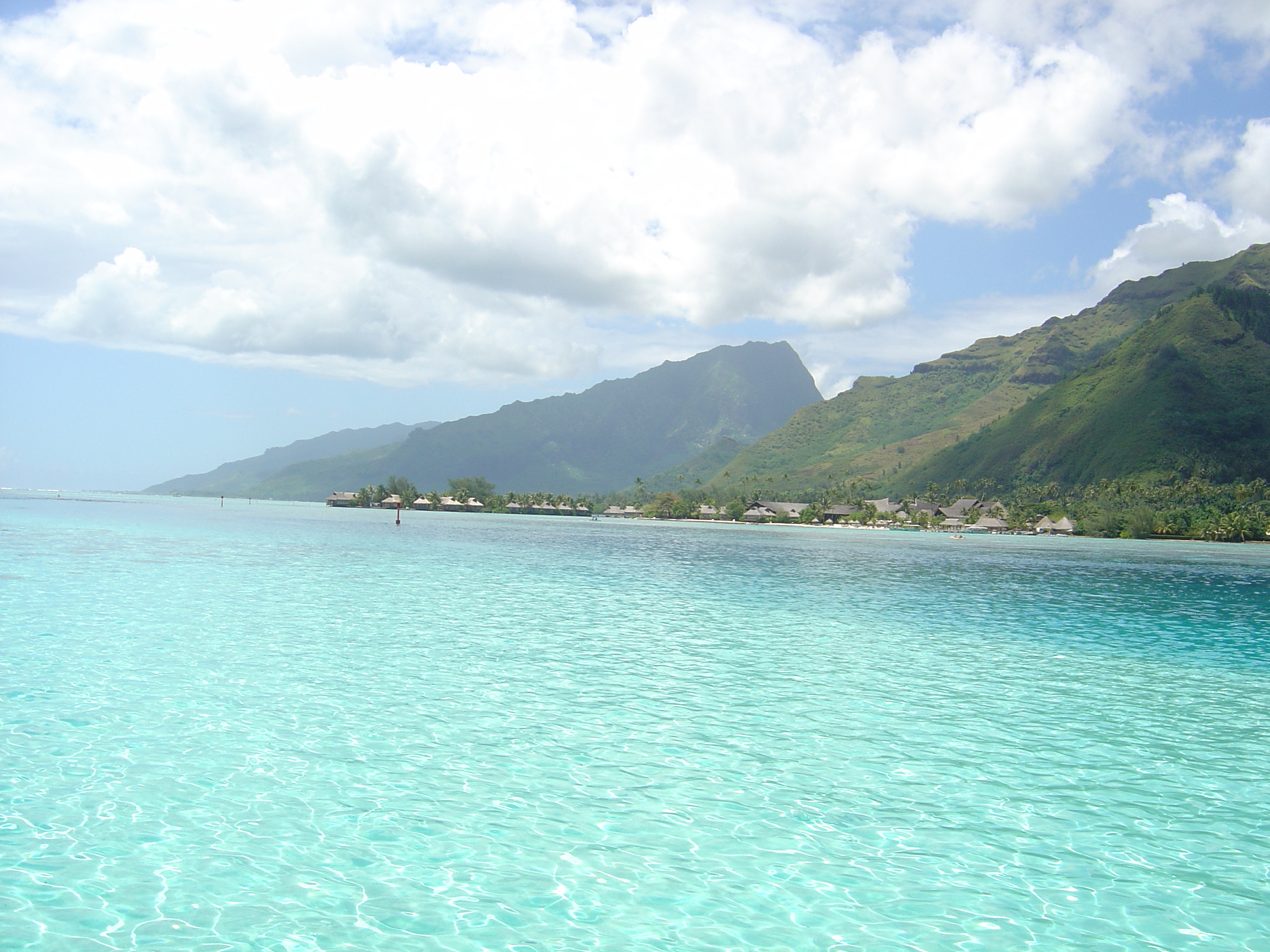 照片 波利尼西亚(Polynesia) 莫雷阿岛(Moorea) 2006-04 103