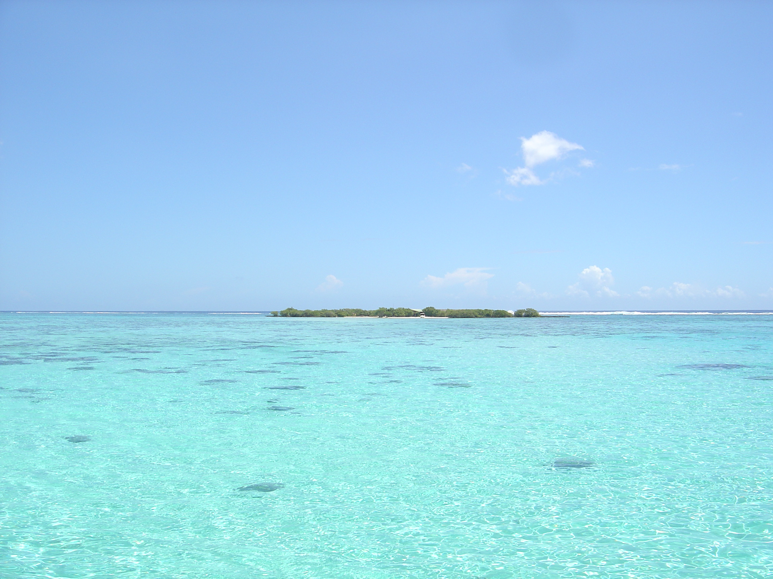 照片 波利尼西亚(Polynesia) 莫雷阿岛(Moorea) 2006-04 153
