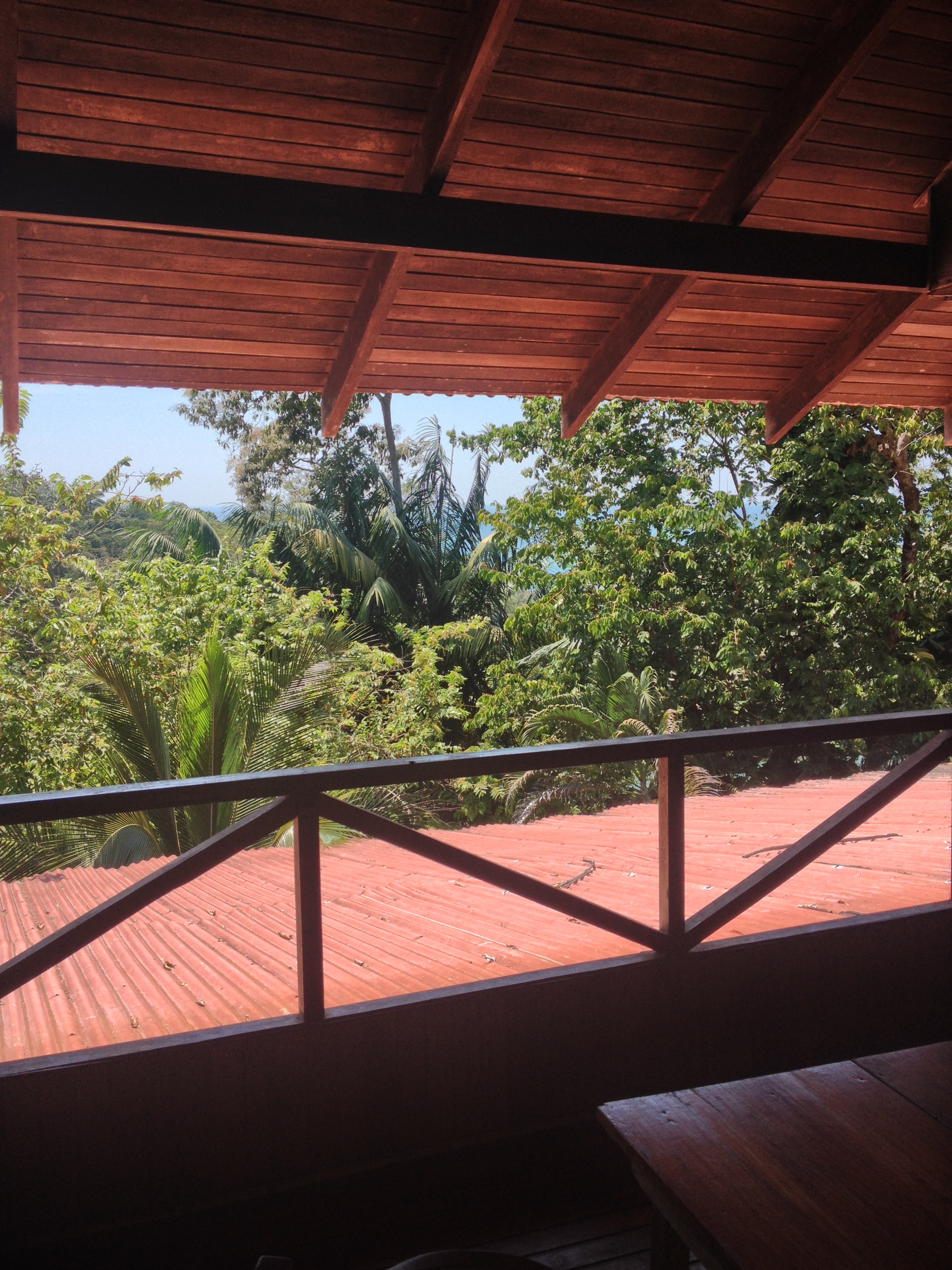 照片 哥斯达黎加(Costa Rica) 曼努埃尔安东尼奥(Manuel Antonio) 2015-03 35