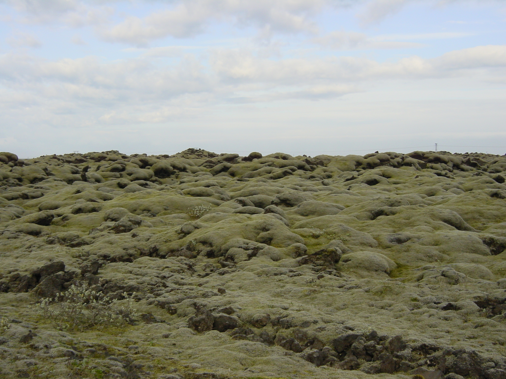 照片 冰岛(Iceland) 1号公路：杰古沙龙至维克(Road 1 Jokulsarlon to vik) 2003-06 12