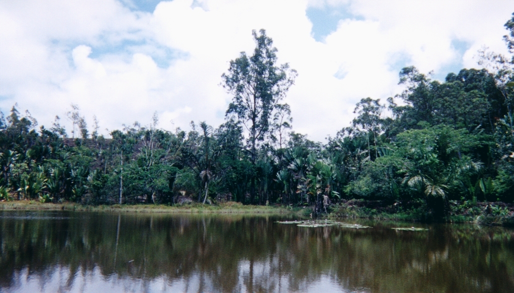 照片 马达加斯加(Madagascar) 1999-10 34