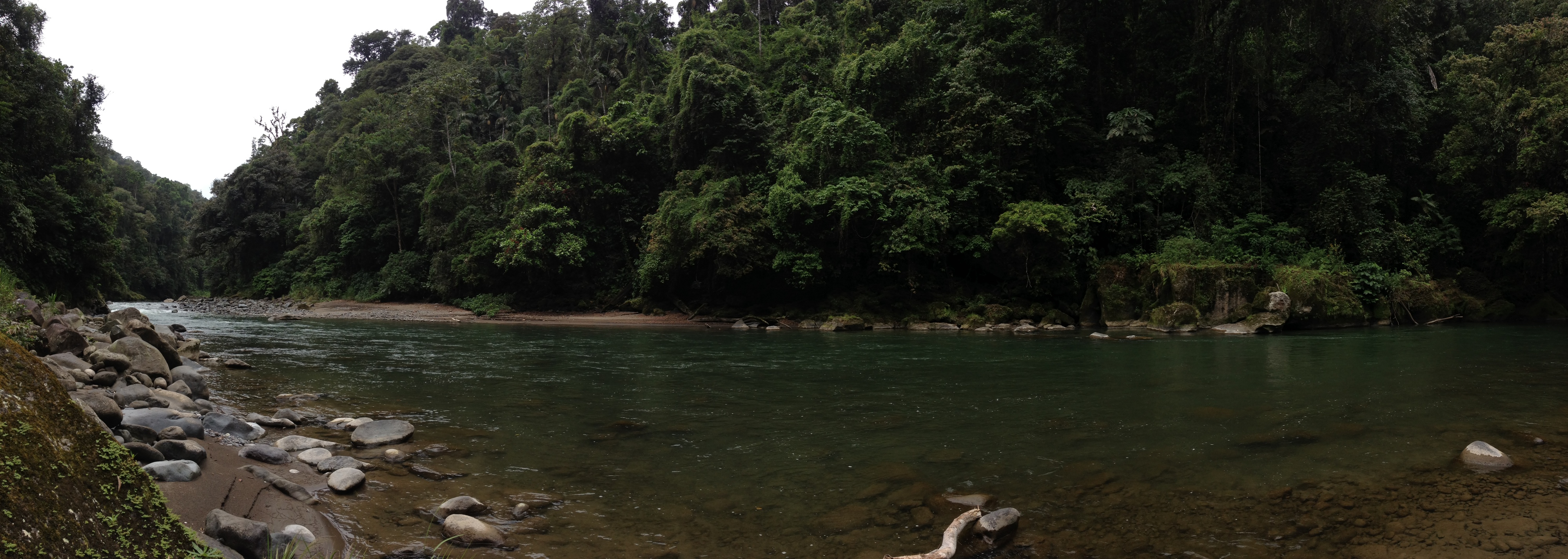 照片 哥斯达黎加(Costa Rica) 帕夸雷河(Pacuare River) 2015-03 20