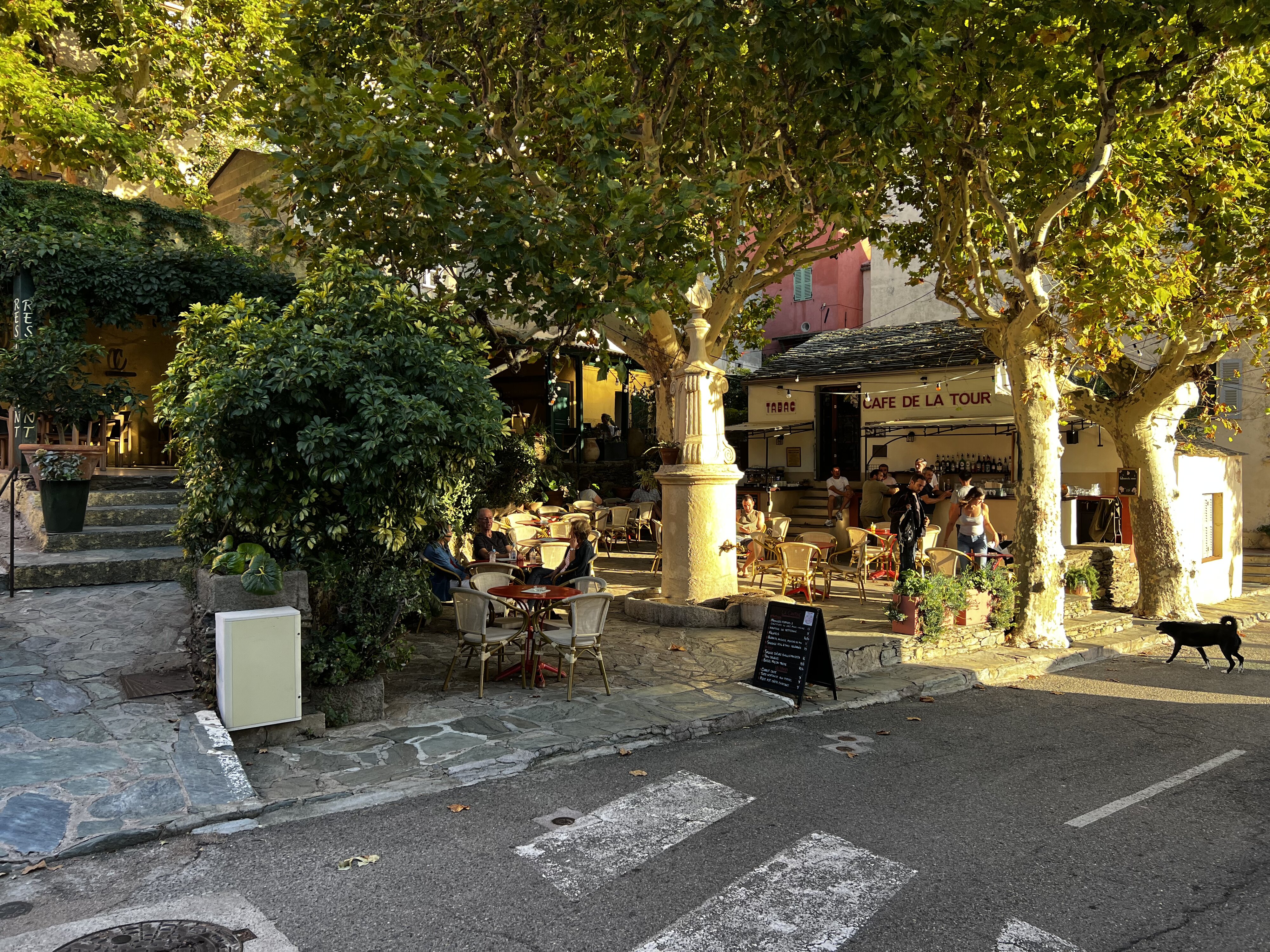 照片 法国(France) 科西嘉岛(Corsica) 农扎(Nonza) 2023-10 20