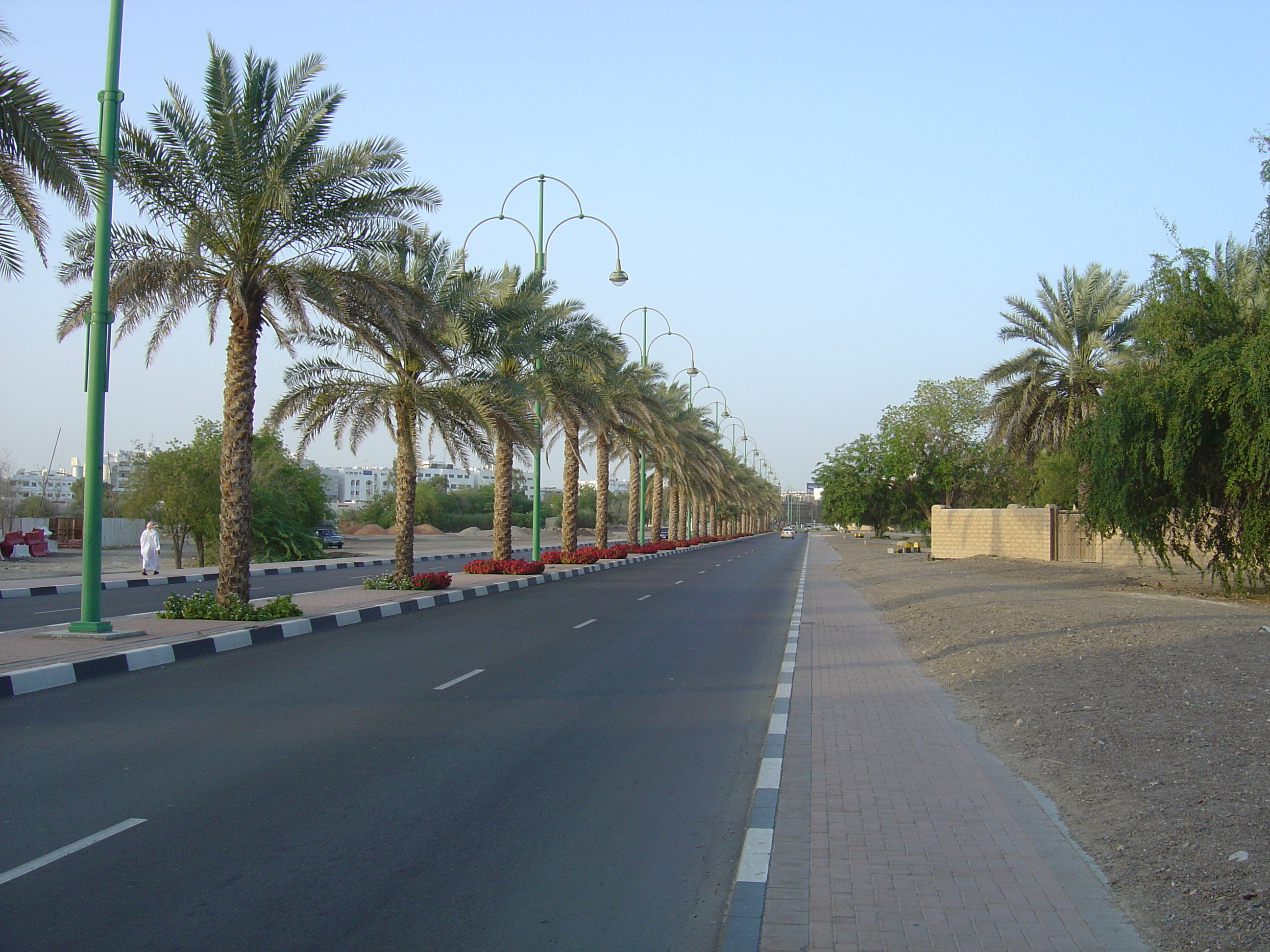 照片 阿联酋(United Arab Emirates) 艾因(Al Ain) 2005-03 17