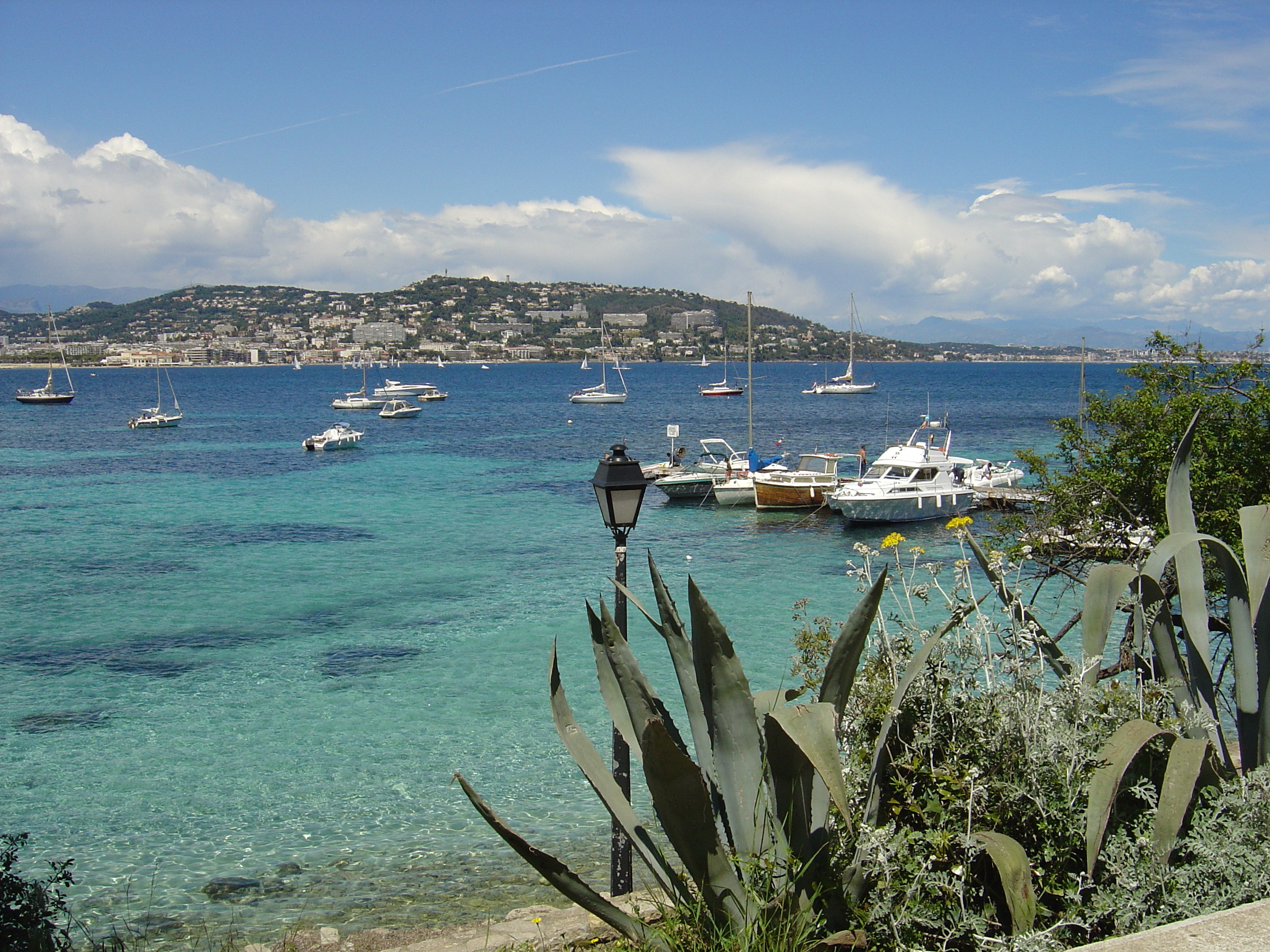 照片 法国(France) 戛纳(Cannes) 圣玛格丽特岛(Sainte Marguerite) 2004-05 67
