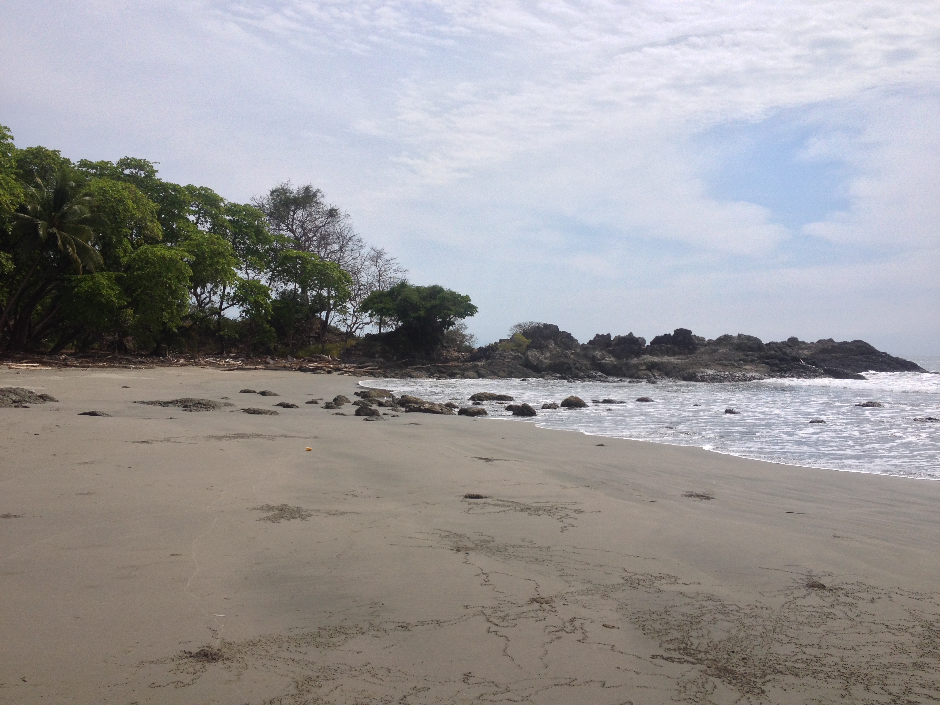 照片 哥斯达黎加(Costa Rica) 蒙特苏马(Montezuma) 2015-03 222