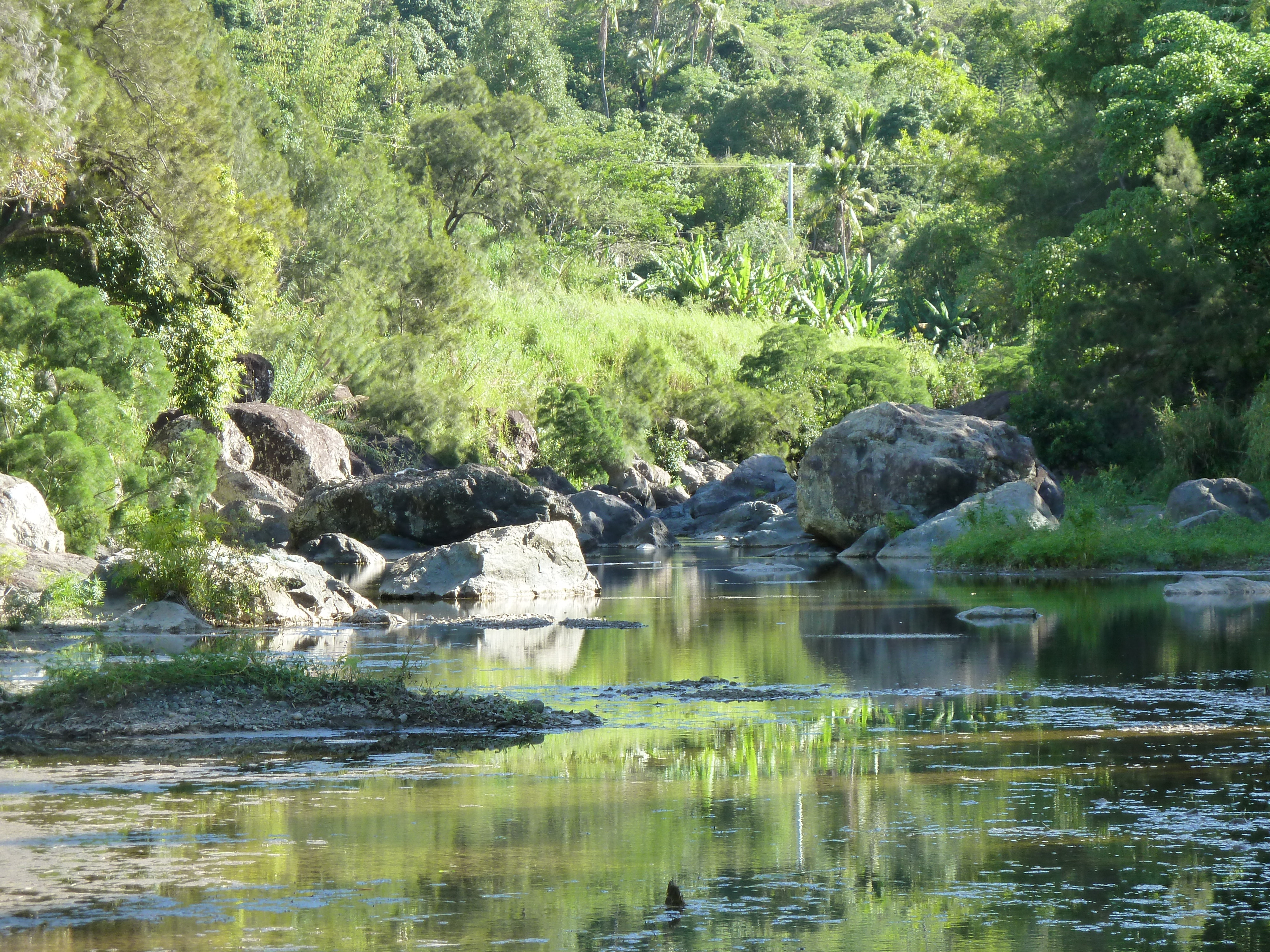 照片 新喀里多尼亚(New Caledonia) 卡纳拉至拉福阿公路(Canala to La Foa road) 2010-05 71