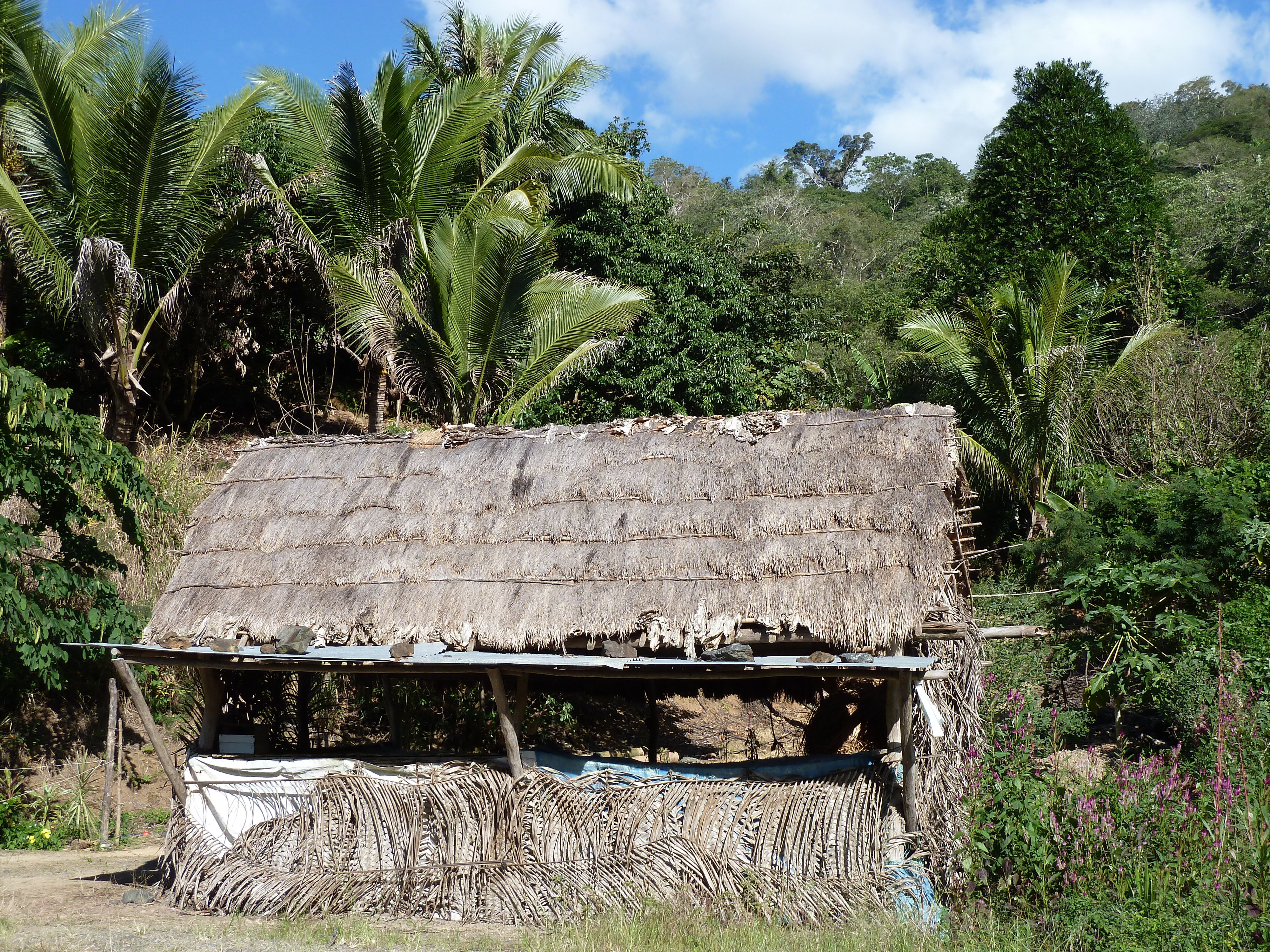 照片 新喀里多尼亚(New Caledonia) 卡纳拉至拉福阿公路(Canala to La Foa road) 2010-05 47