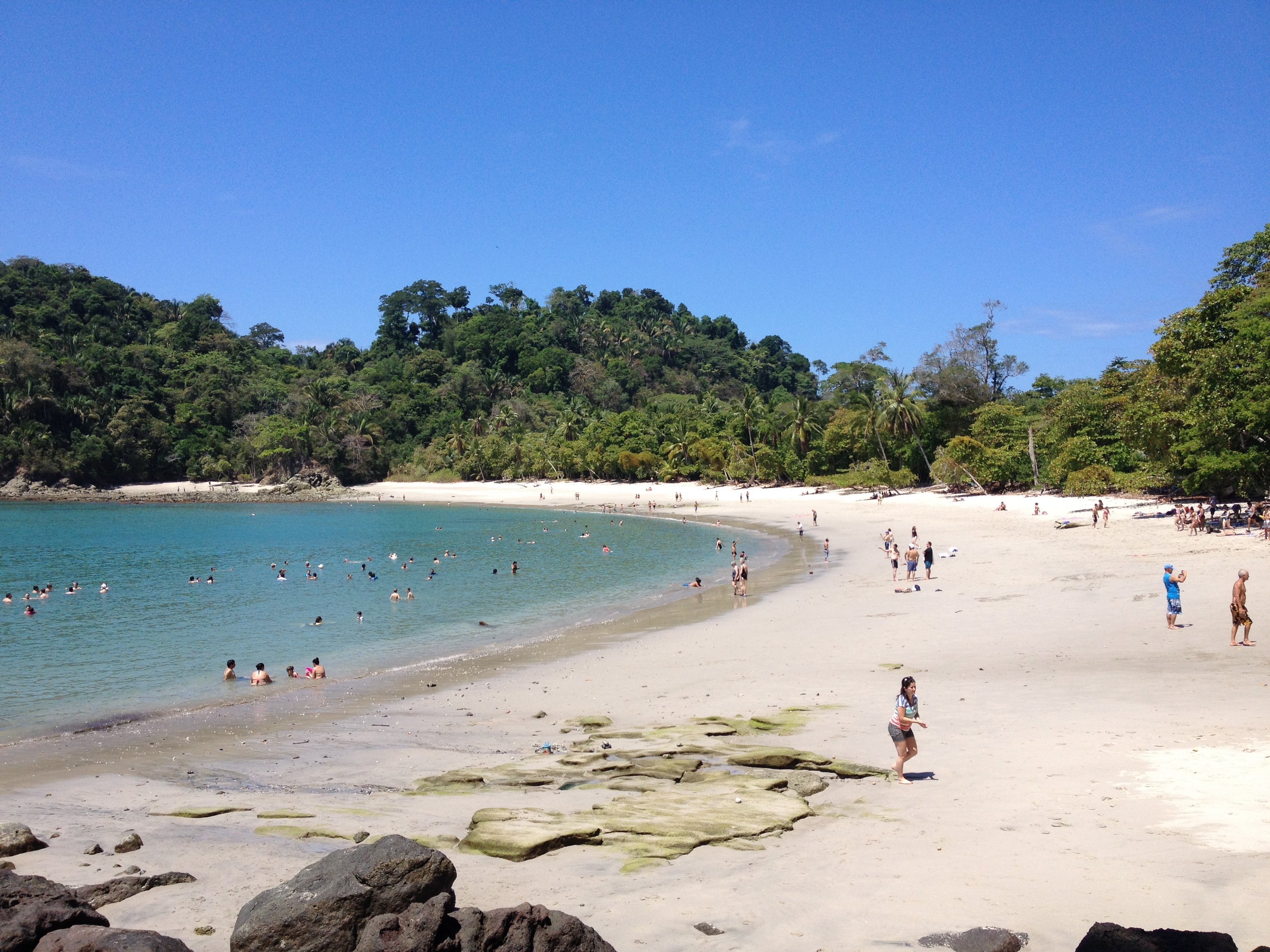 照片 哥斯达黎加(Costa Rica) 曼努埃尔安东尼奥(Manuel Antonio) 2015-03 301