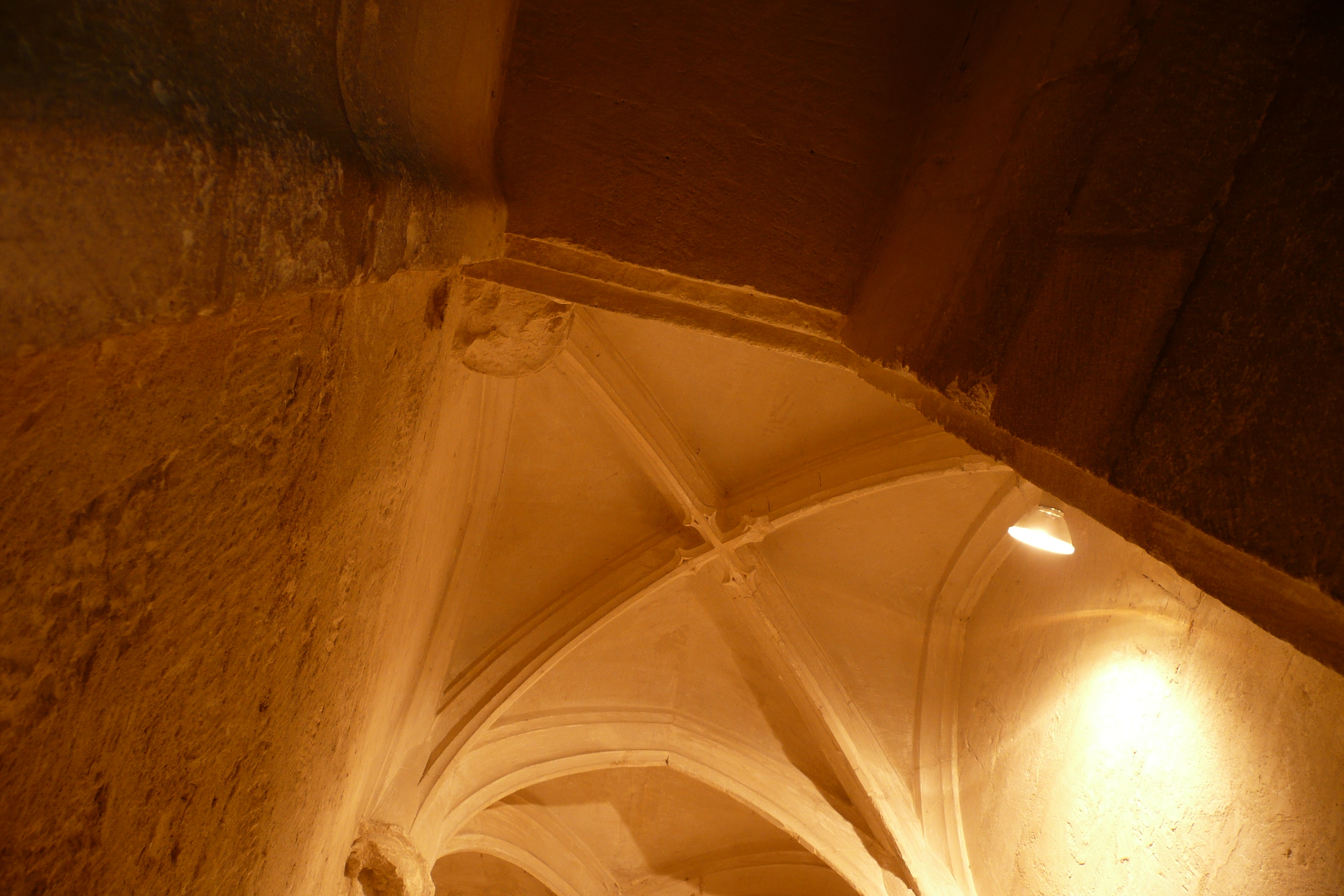 照片 法国(France) 塔拉斯孔(Tarascon) 塔拉斯孔城堡(Tarascon Castle) 2008-04 69