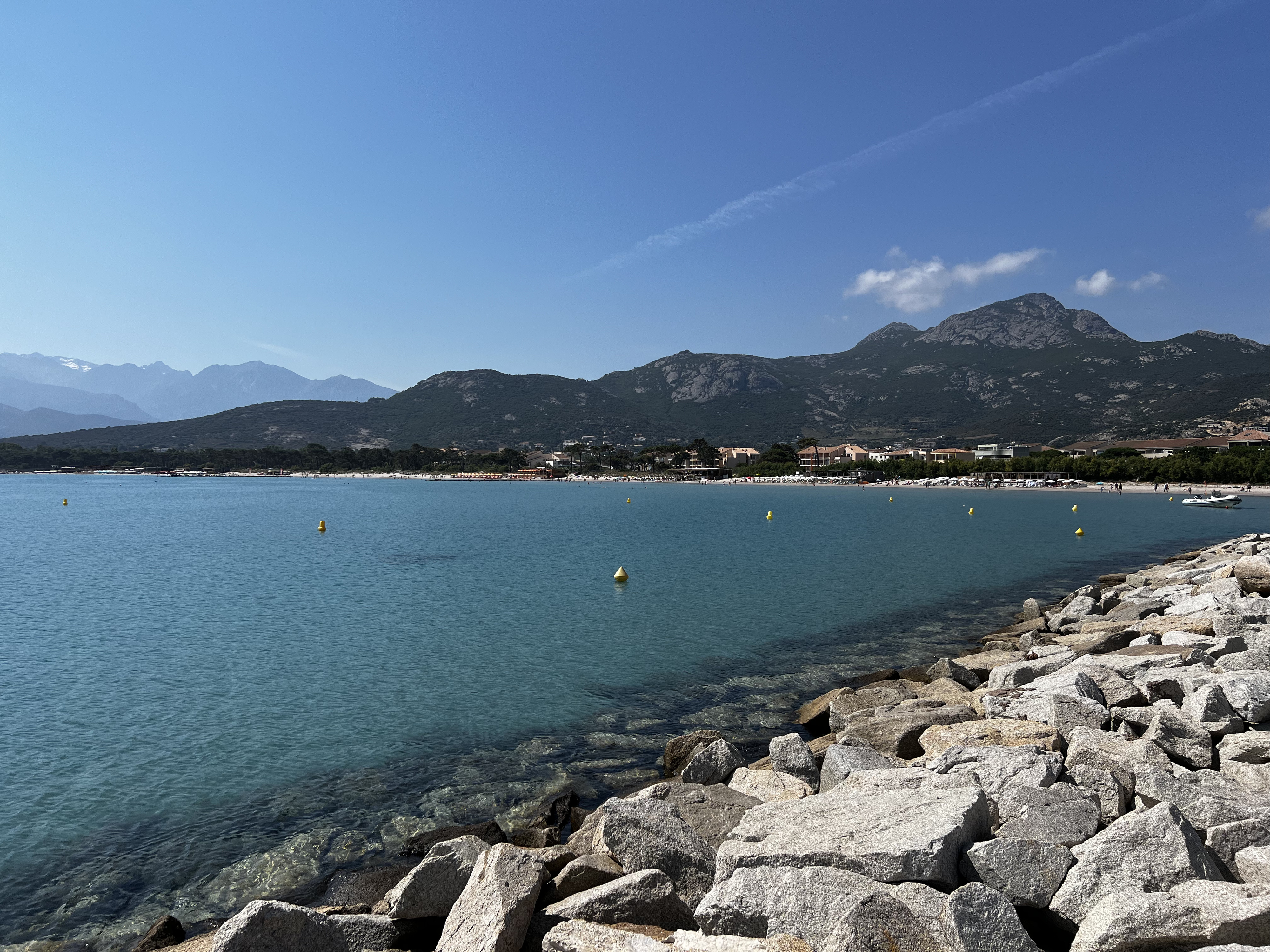照片 法国(France) 科西嘉岛(Corsica) 卡尔维(Calvi) 2023-06 29