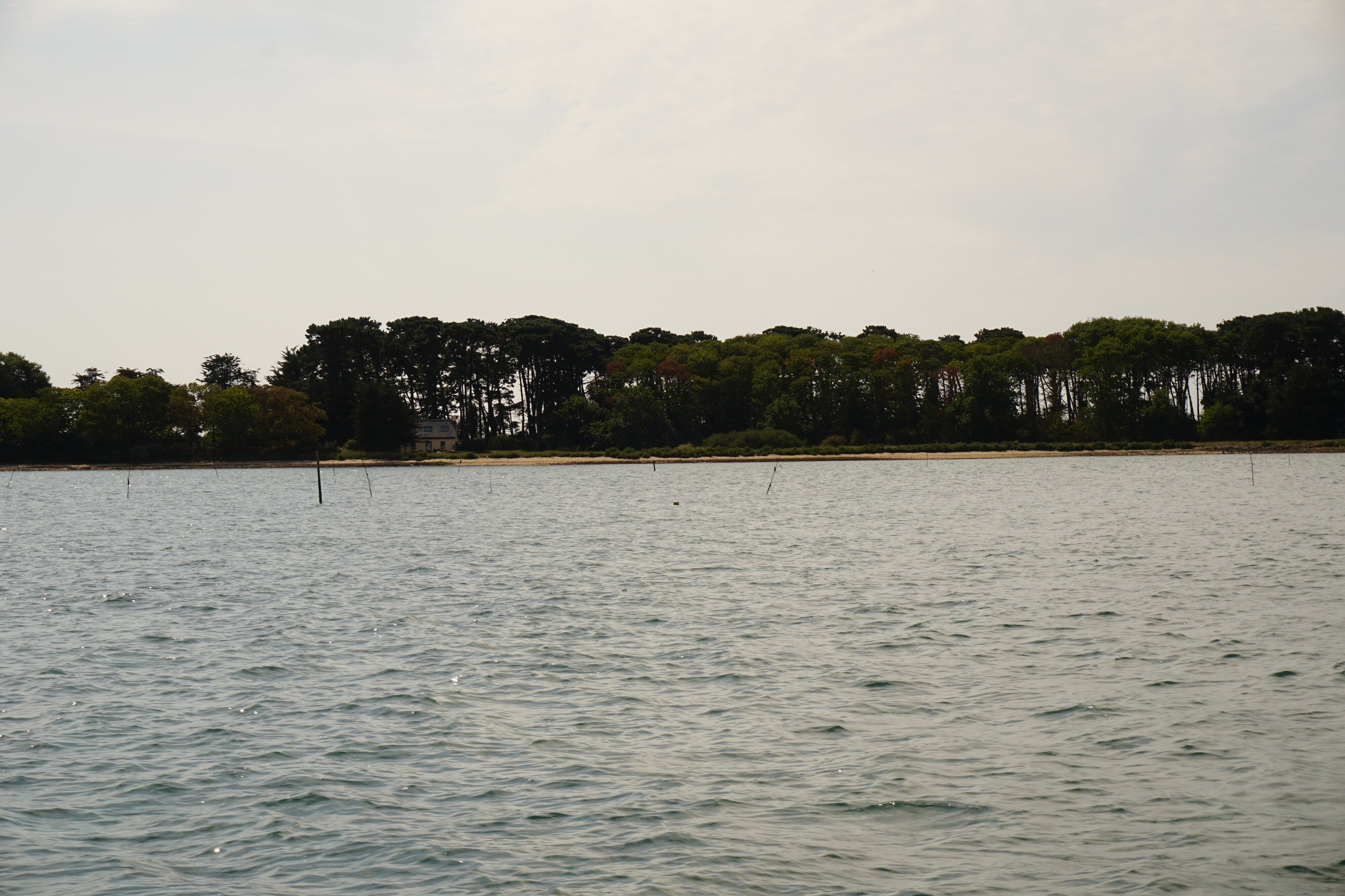 照片 法国(France) 莫尔比昂湾(Golfe du Morbihan) 2016-08 71