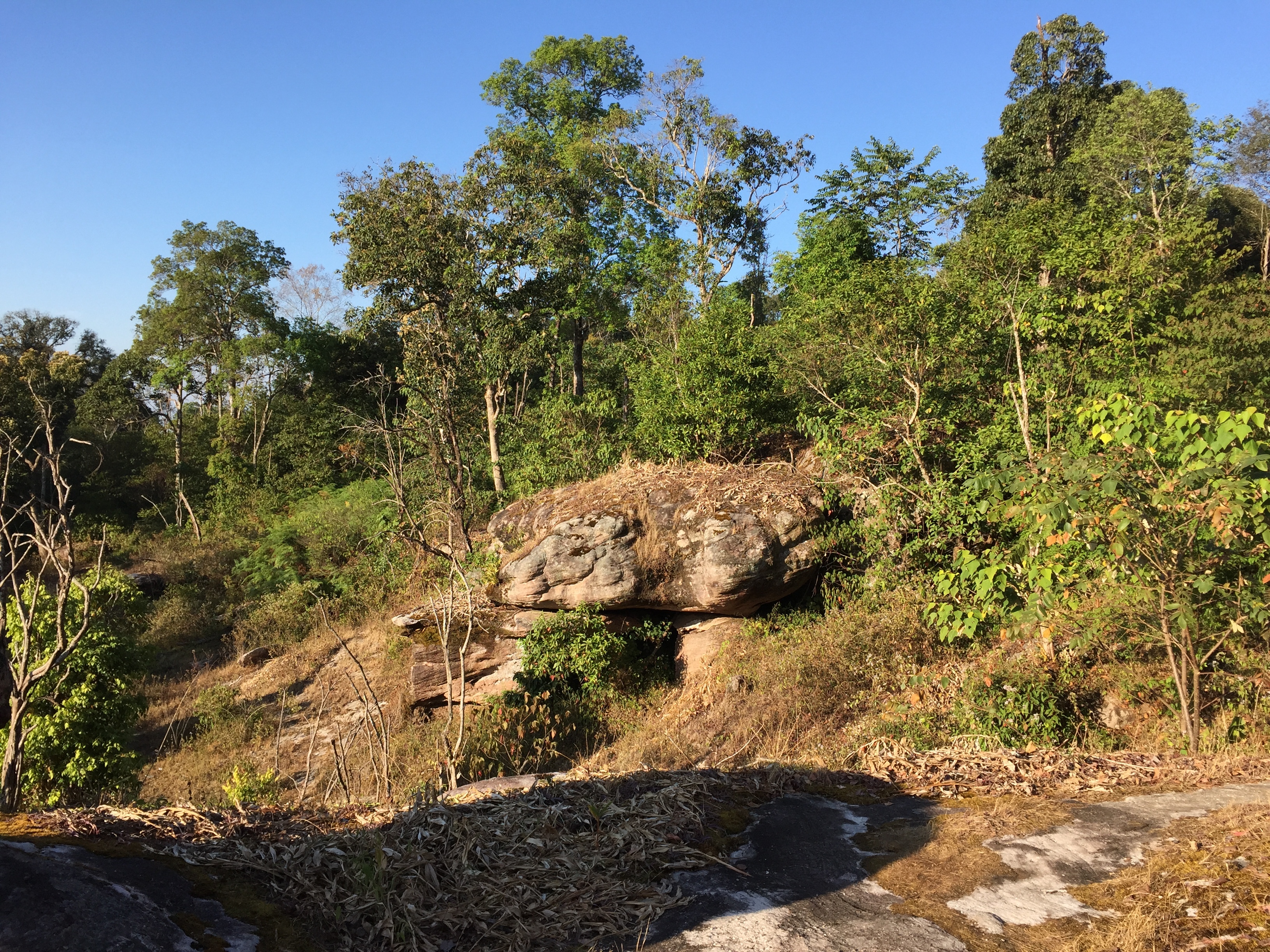 照片 泰国(Thailand) 普欣隆卡国家公园(Phu Hin Rong Kla National Park) 2014-12 287
