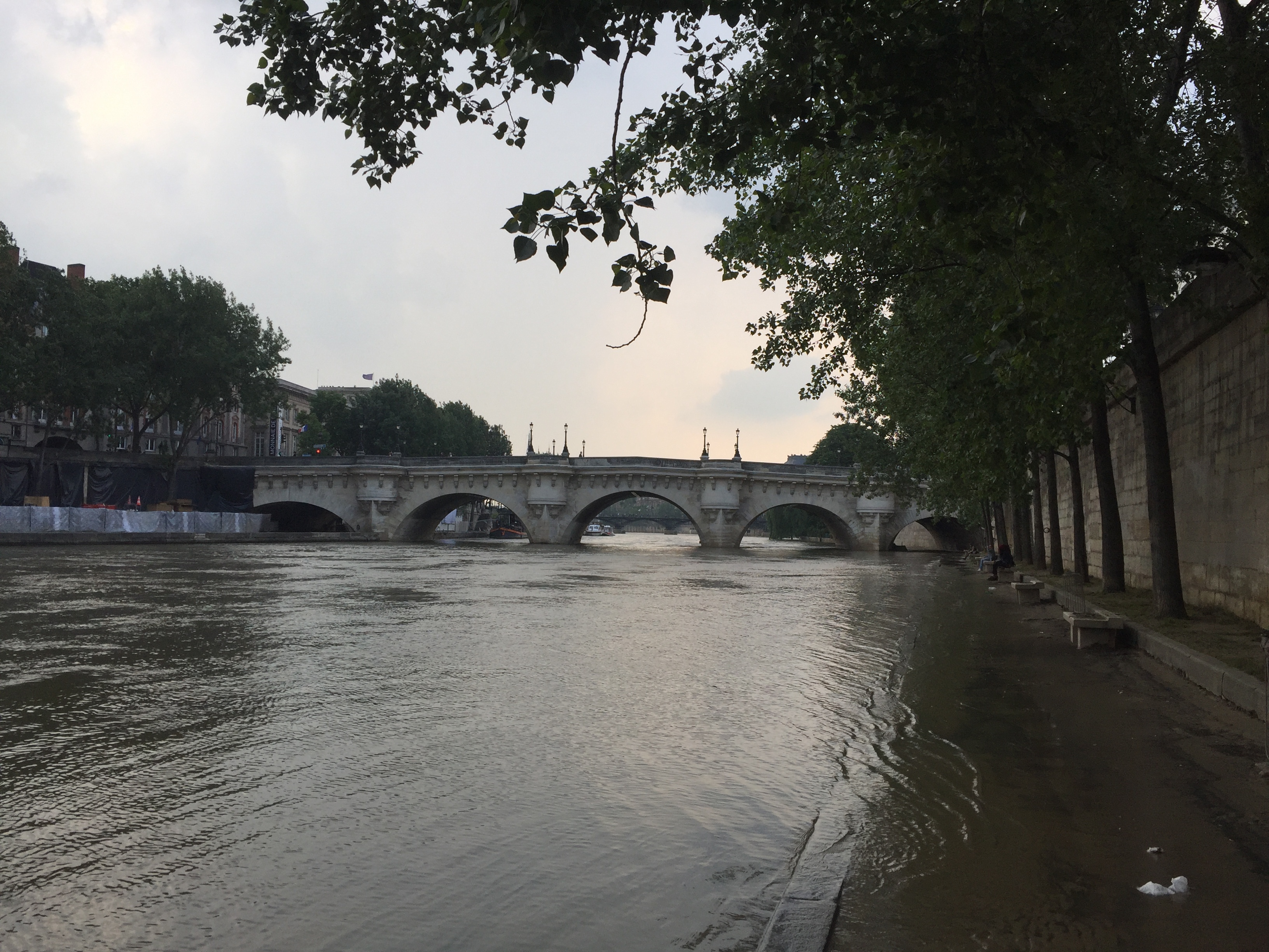 照片 法国(France) 巴黎(Paris) 塞纳河(Seine river) 2016-06 35