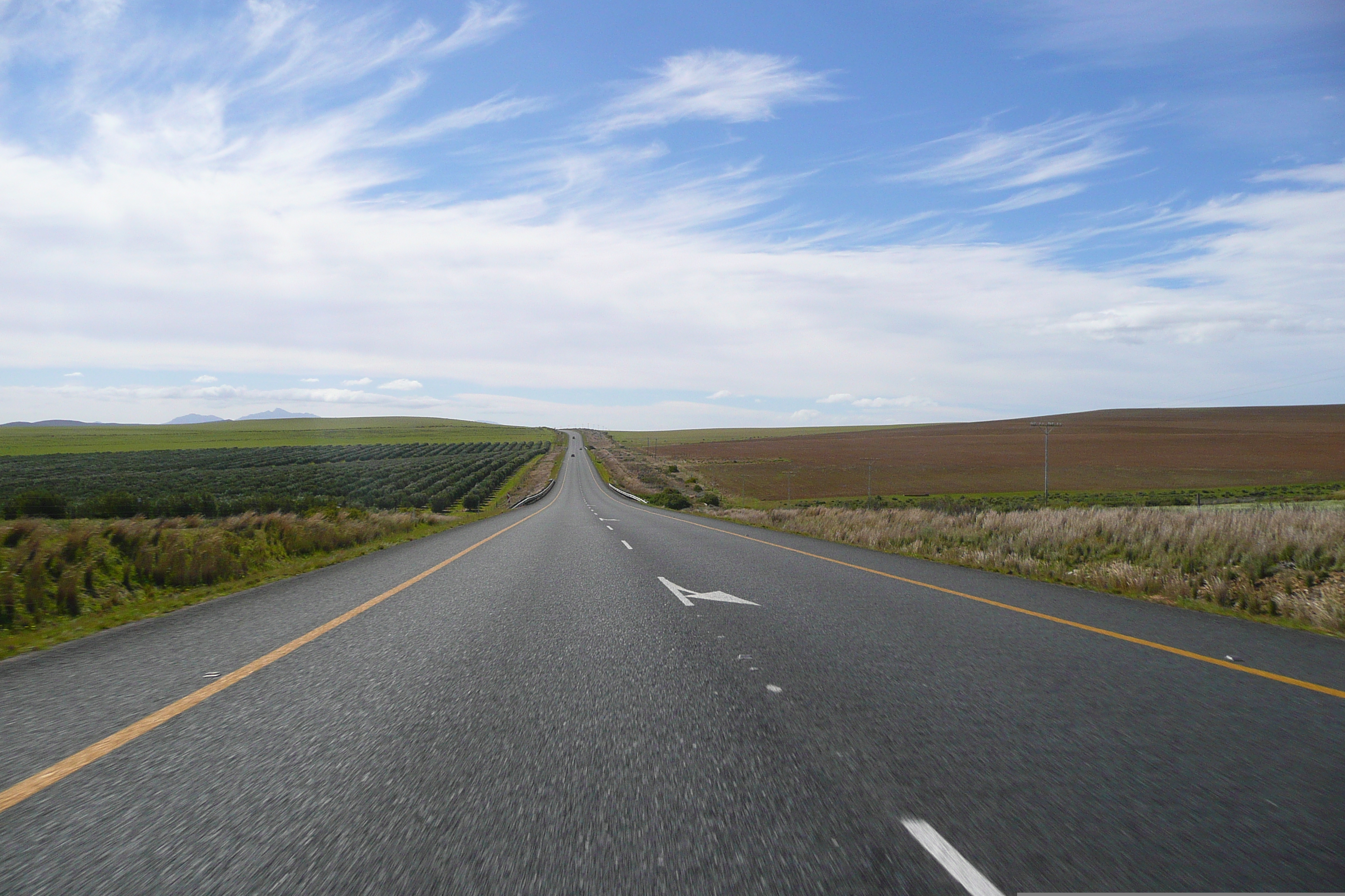 照片 南非(South Africa) 赫曼努斯至克尼斯纳公路(Harmanus to Knysna road) 2008-09 73