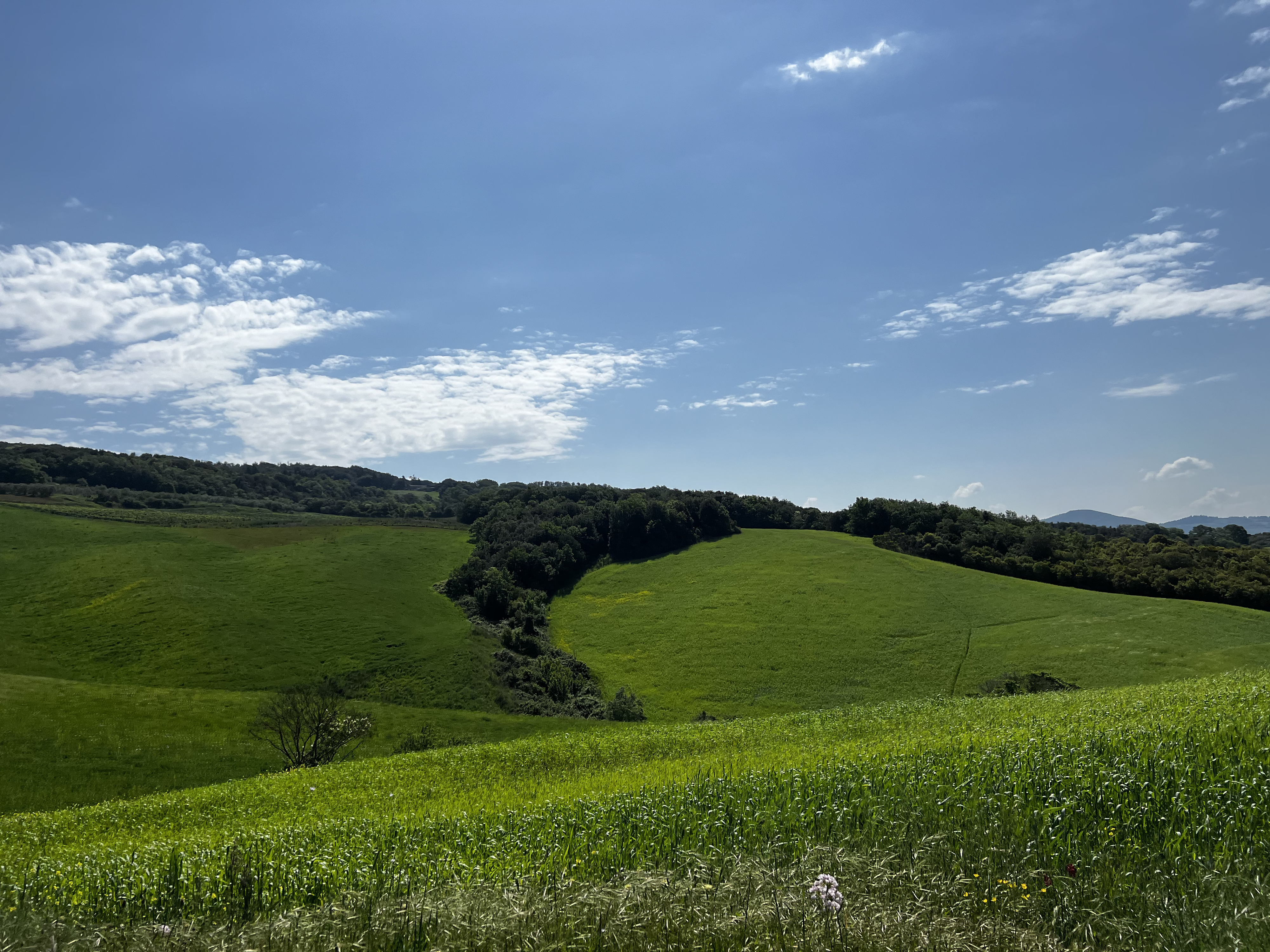 照片 意大利(Italy) 沃尔泰拉(Volterra) 2022-05 35
