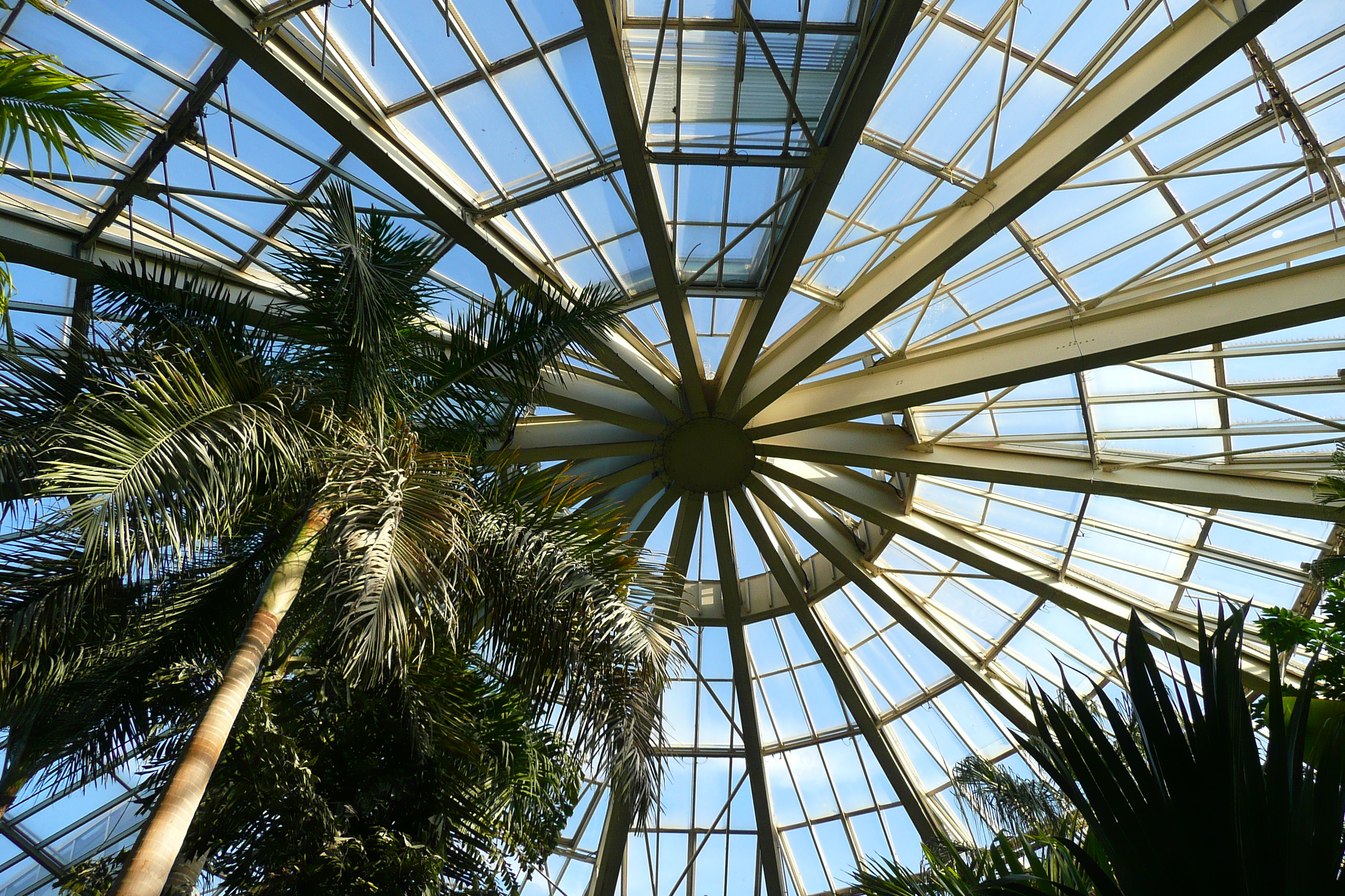 照片 法国(France) 尼斯(Nice) 凤凰公园(Phoenix Parc) 2007-10 35