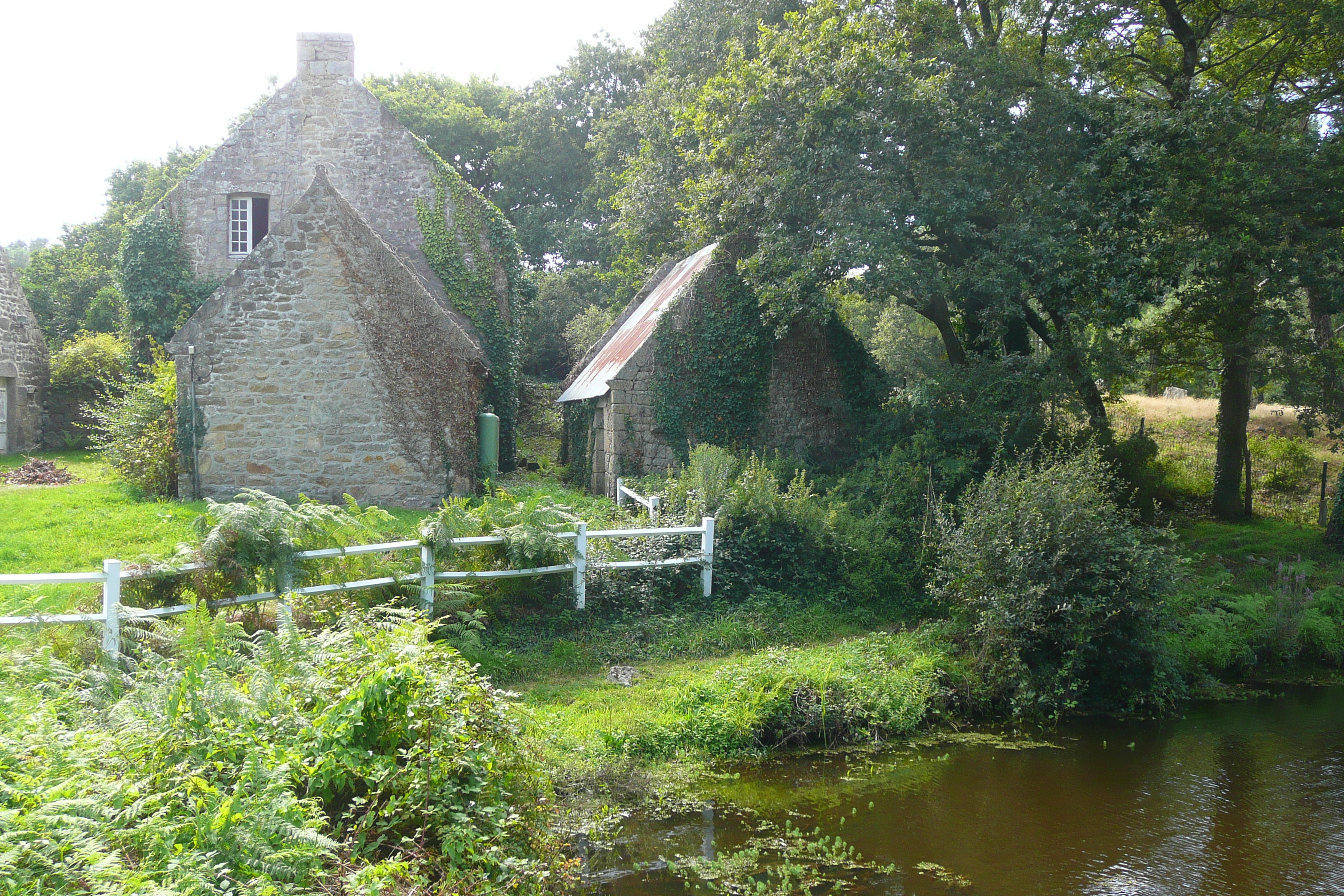 照片 法国(France) 卡纳克(Carnac) 2008-07 15