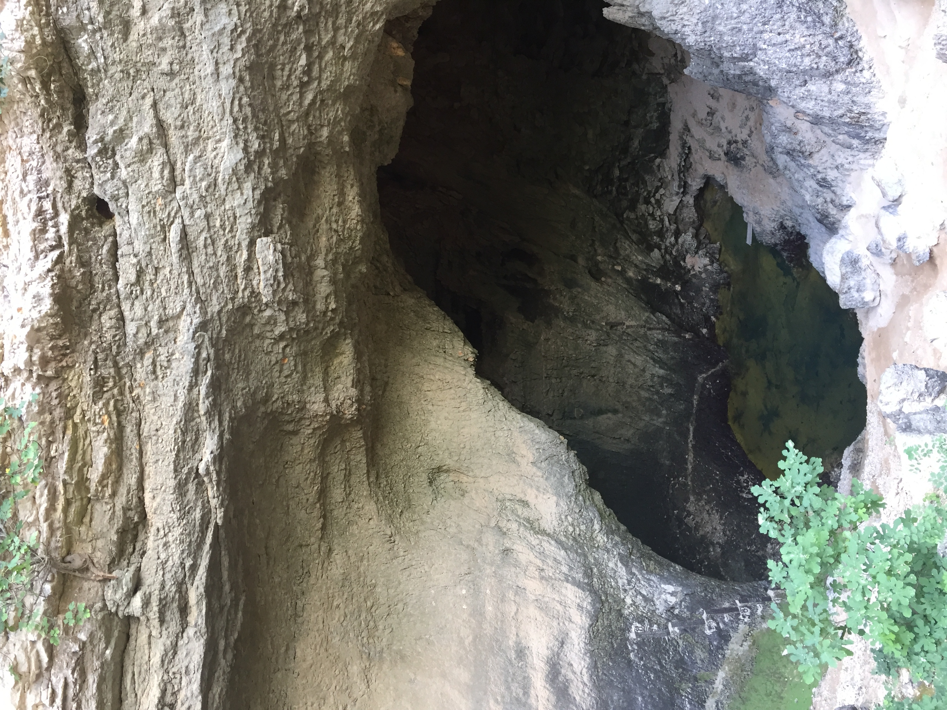 照片 法国(France) 沃克吕兹泉(Fontaine-de-Vaucluse) 2017-08 42