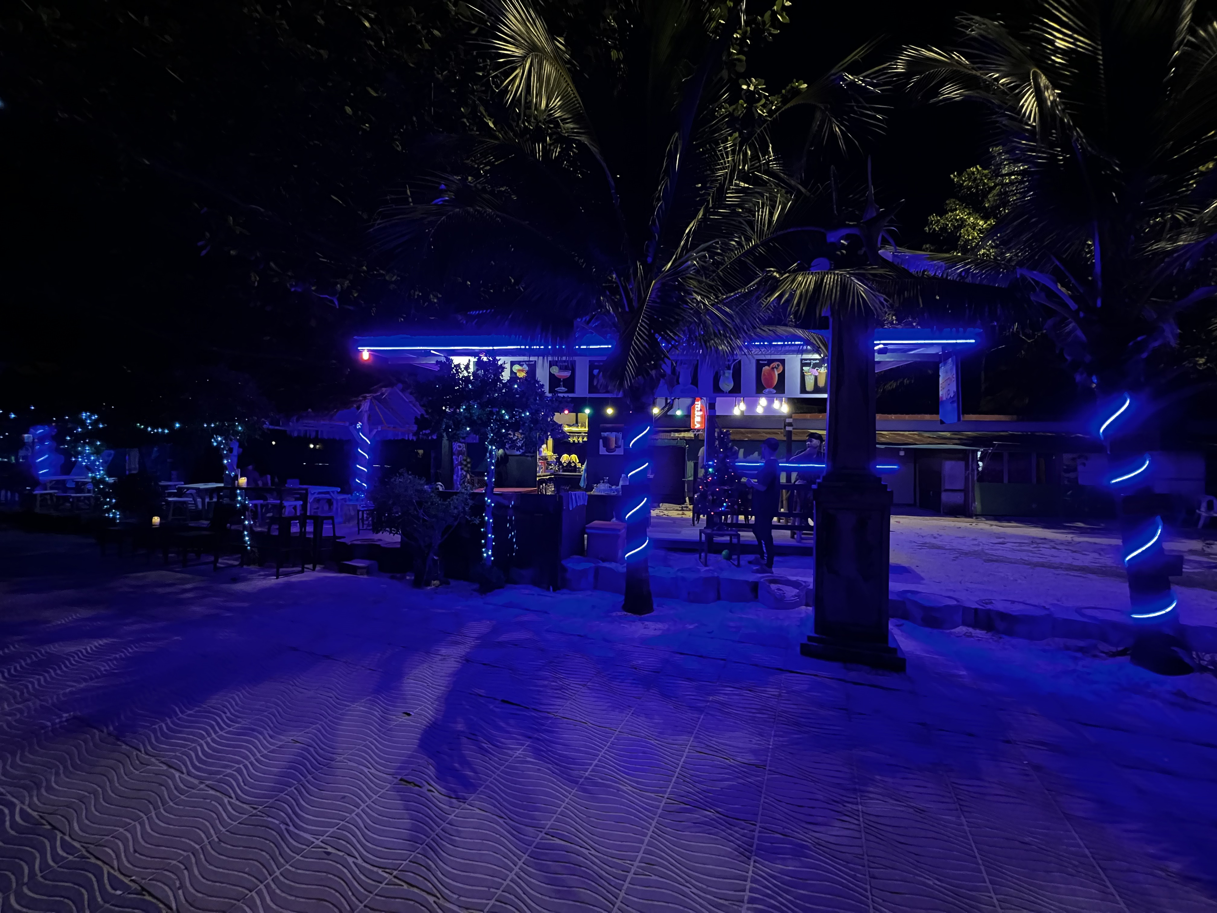 照片 泰国(Thailand) 大皮皮岛(Ko Phi Phi Don) 2021-12 173
