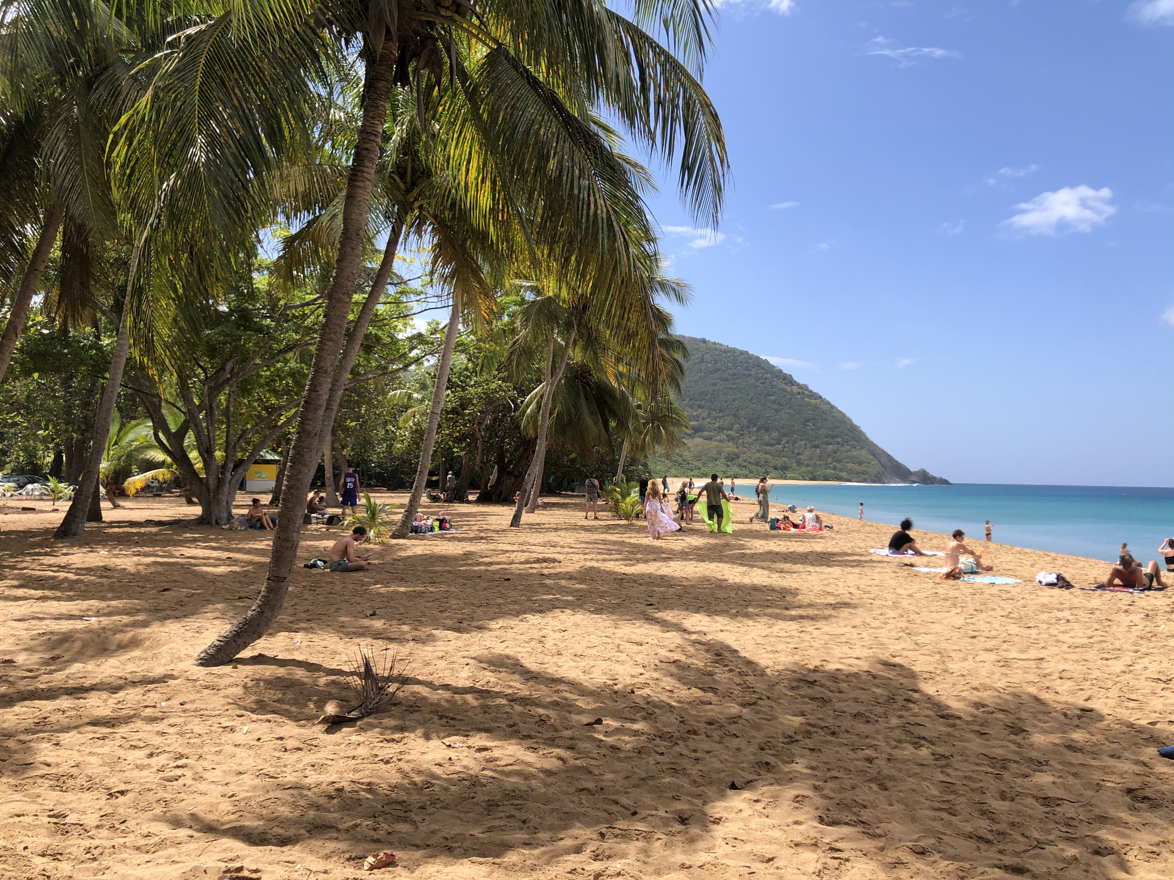 照片 瓜德罗普(Guadeloupe) 大湾海滩(Grande Hanse Beach) 2021-02 3