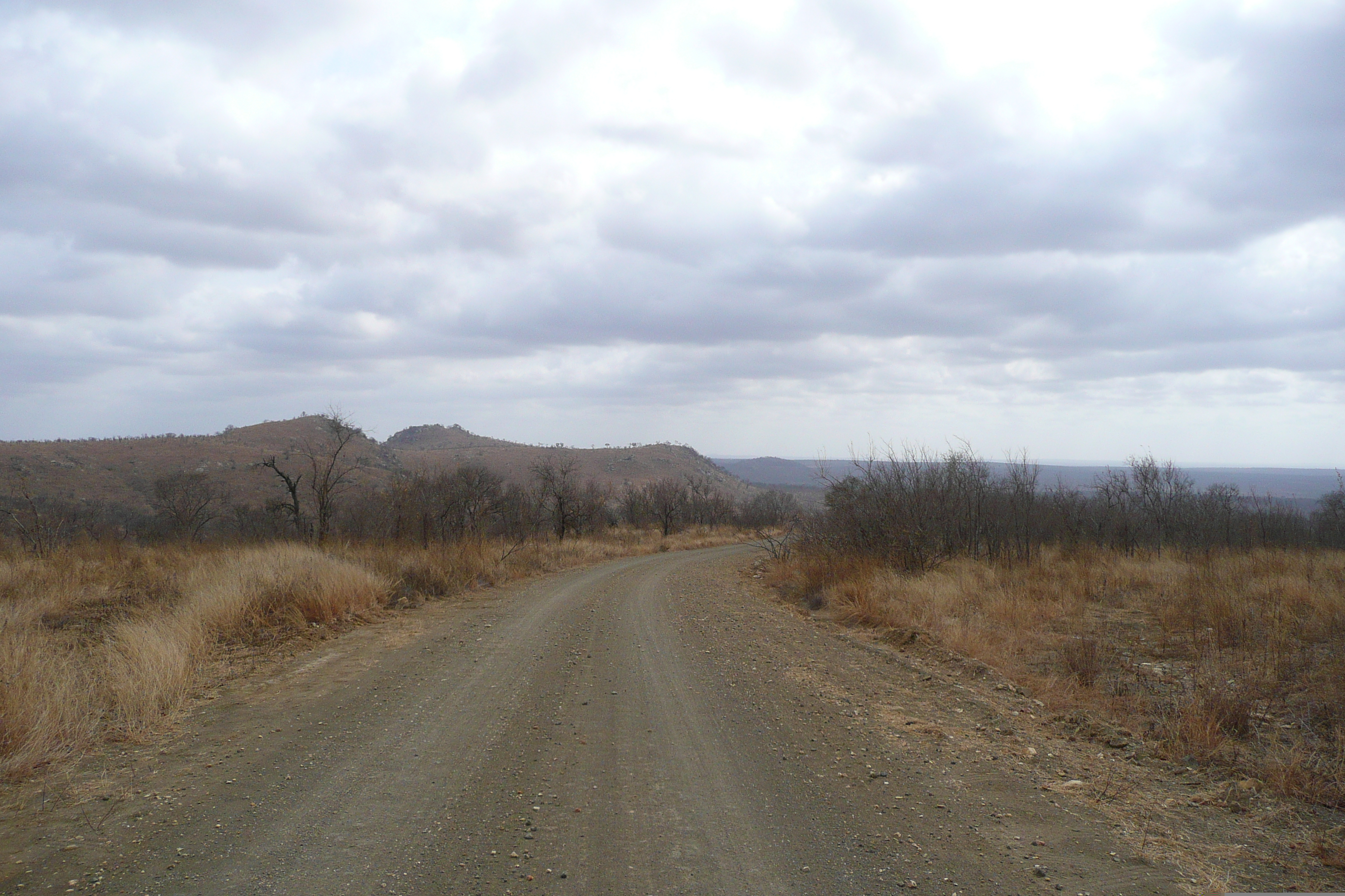 照片 南非(South Africa) 克鲁格国家公园(Kruger National Park) 2008-09 124