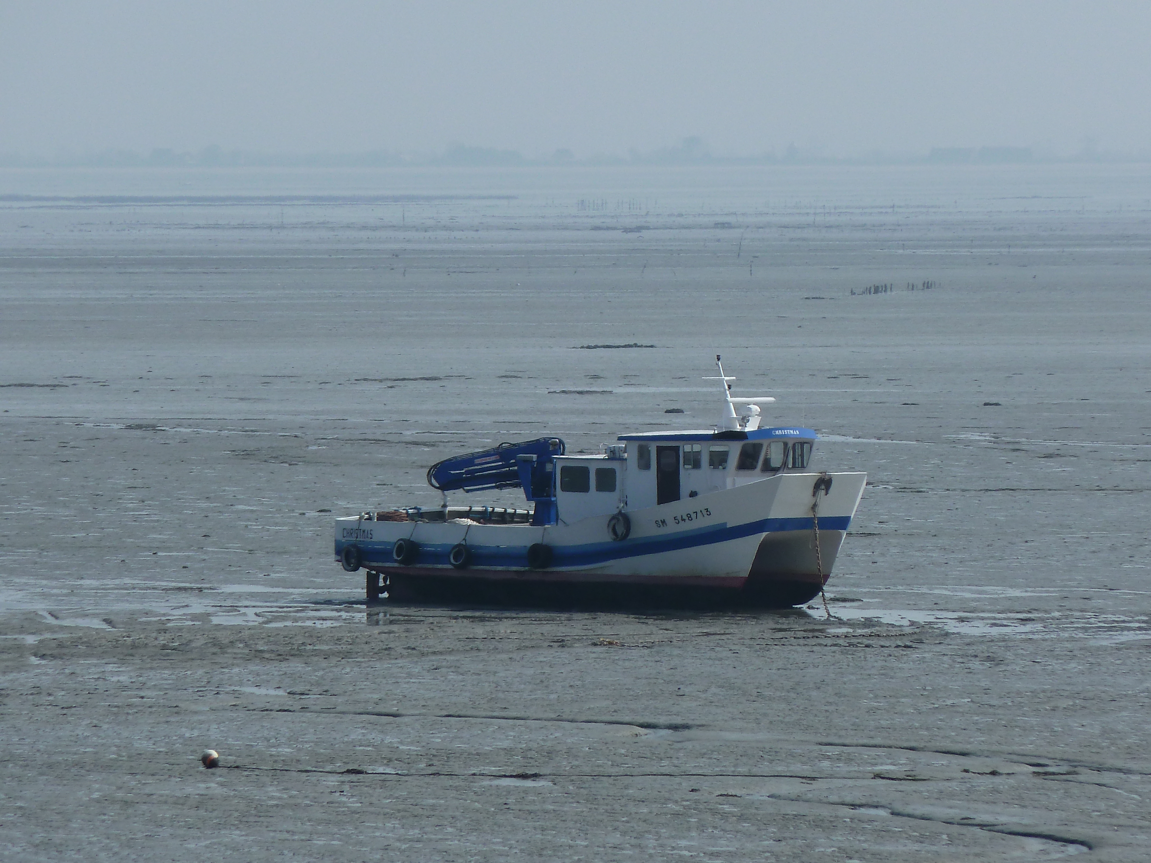 照片 法国(France) 康卡勒(Cancale) 2010-04 91