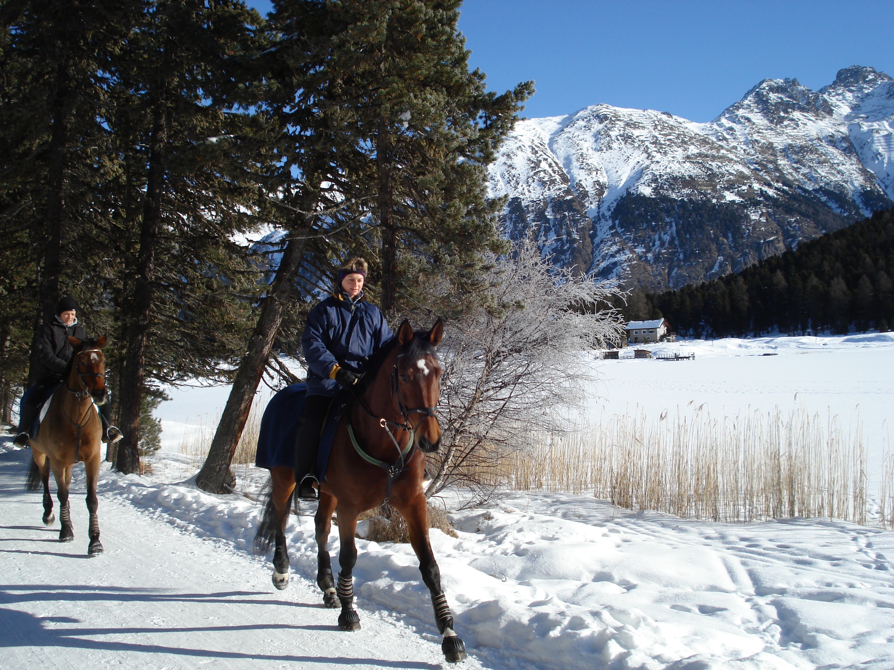 照片 瑞士(Switzerland) 圣莫里茨施拉里尼亚(St Moritz Schlarigna) 2007-01 33