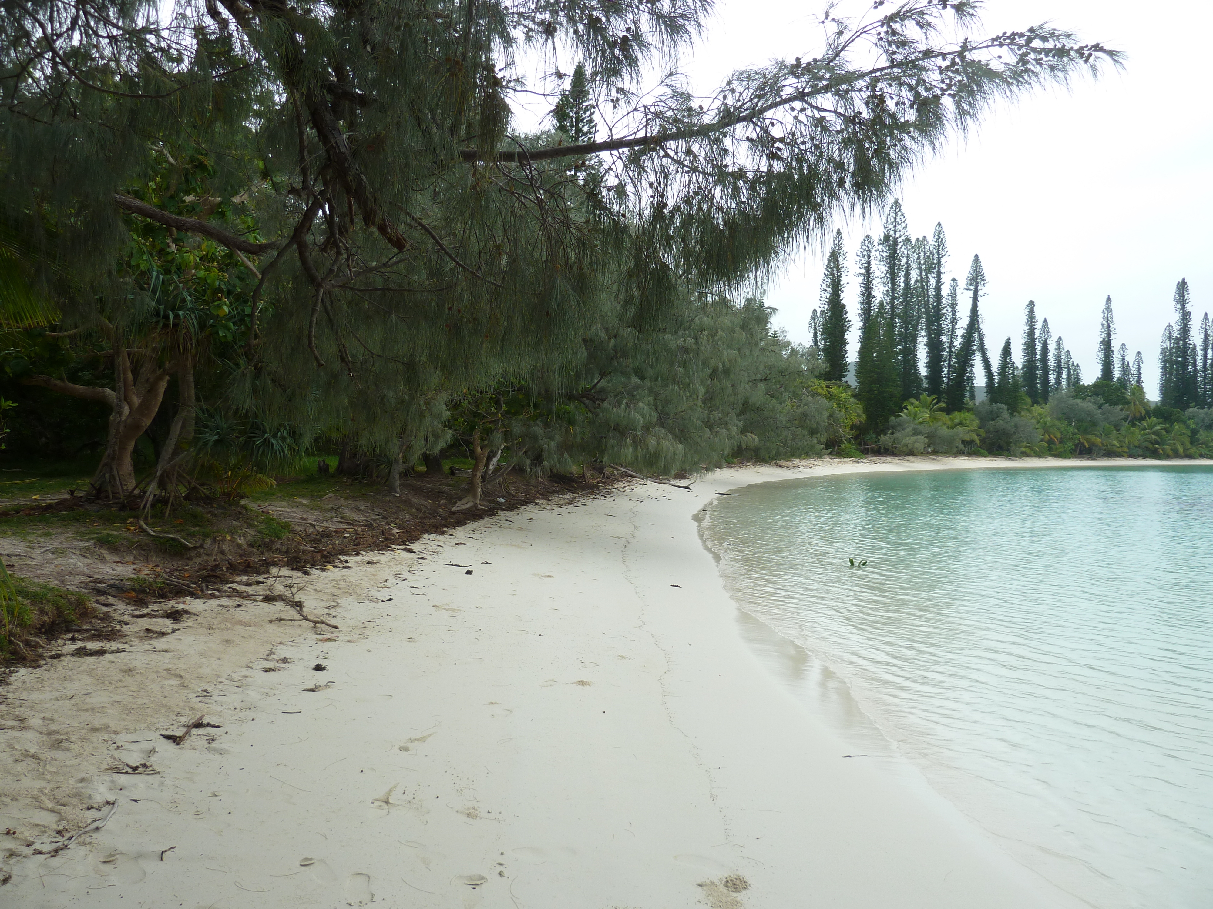 照片 新喀里多尼亚(New Caledonia) 松树岛(Ile des pins) 库托海滩(Kuto Beach) 2010-05 42