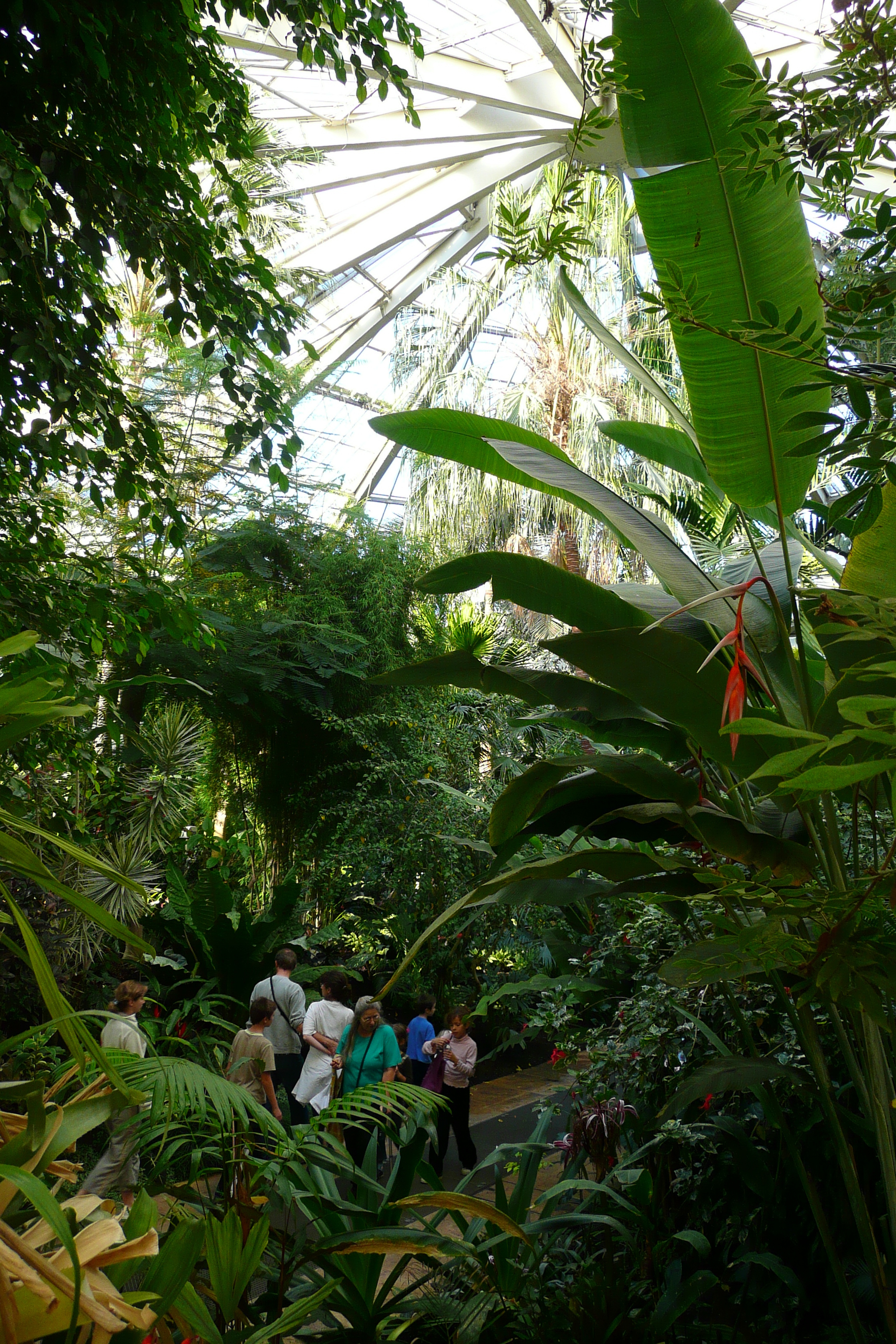 照片 法国(France) 尼斯(Nice) 凤凰公园(Phoenix Parc) 2007-10 19