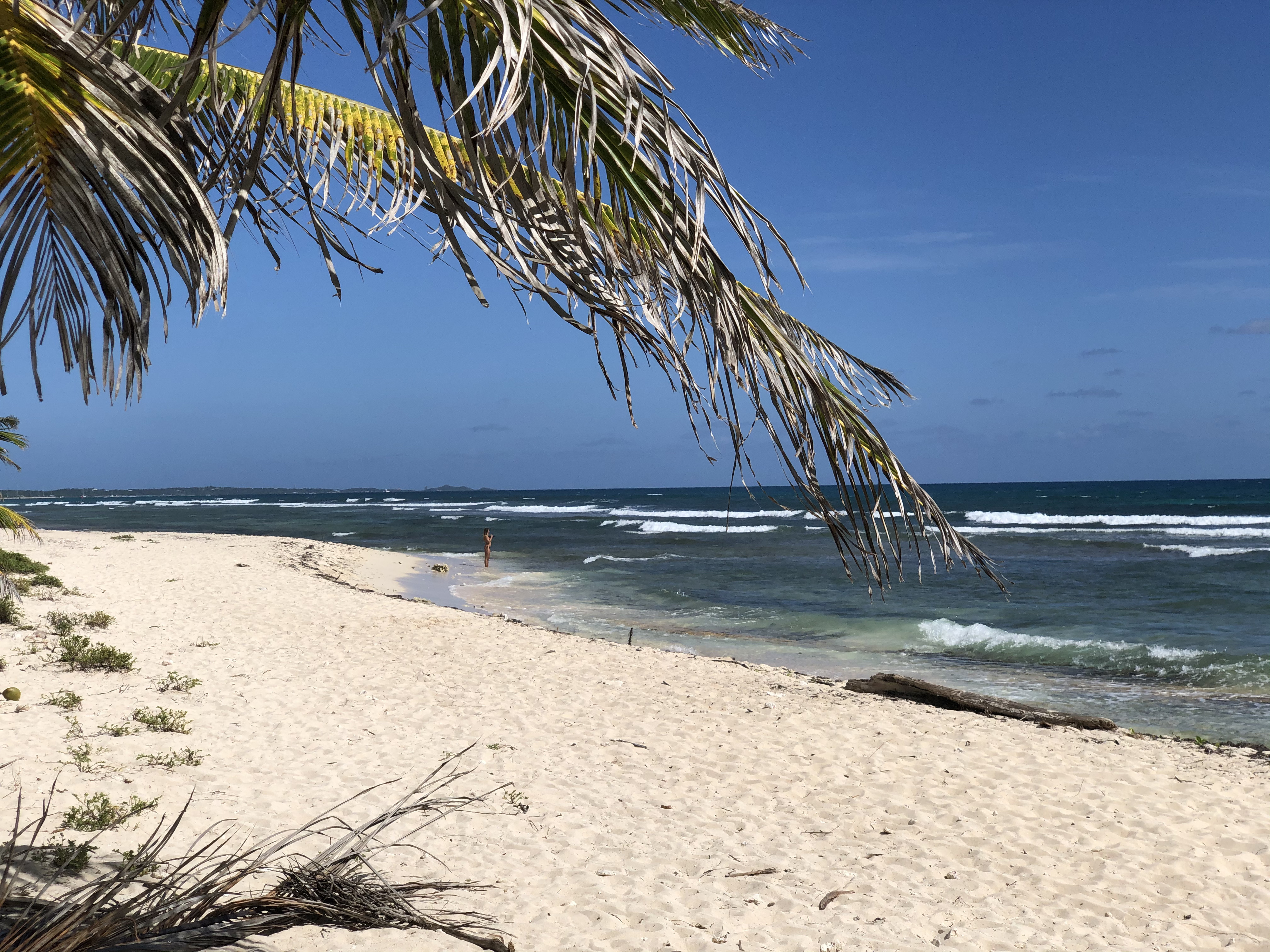 照片 瓜德罗普(Guadeloupe) 圣弗朗索瓦(Saint Francois) 2021-02 51