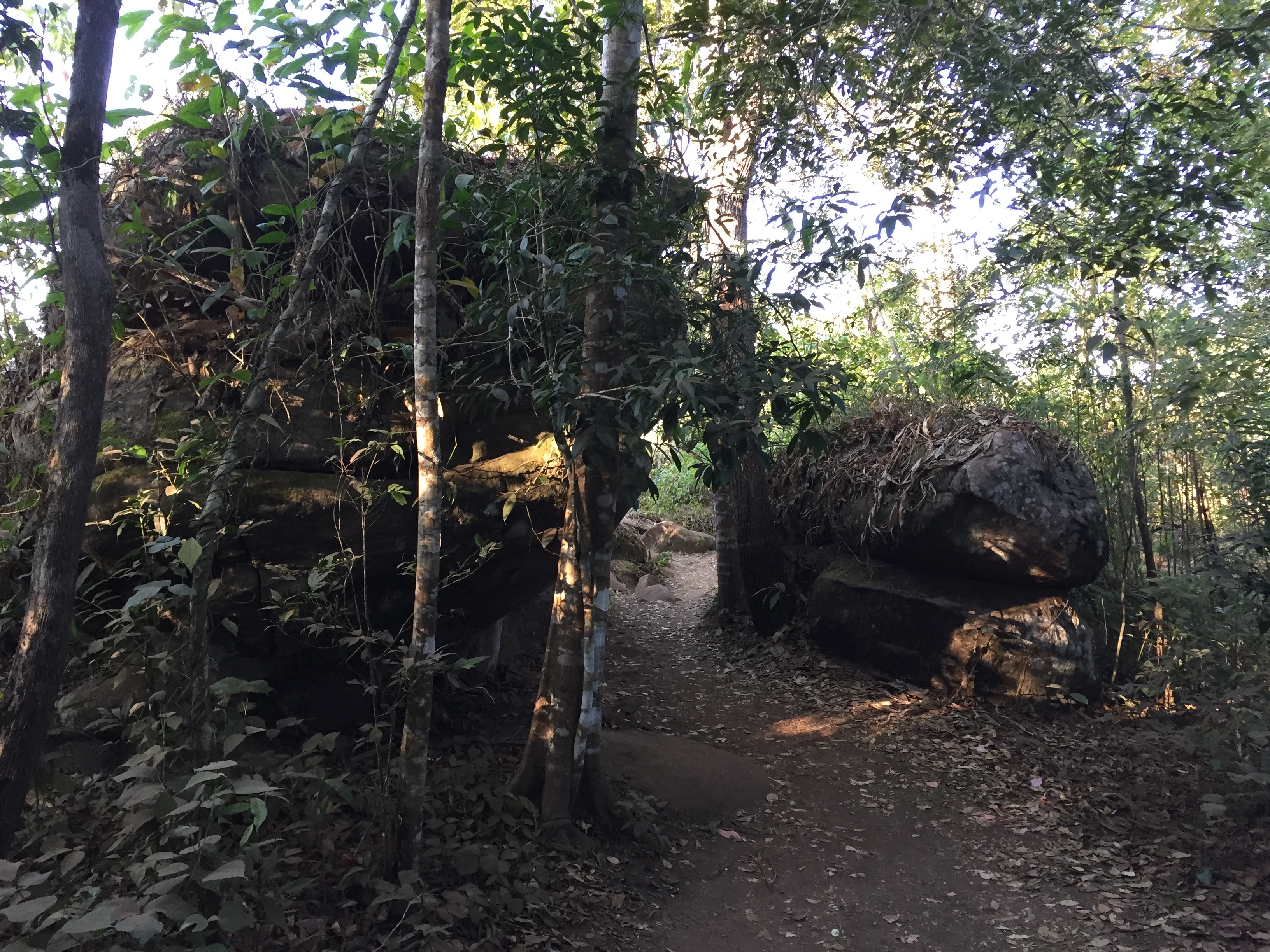 照片 泰国(Thailand) 普欣隆卡国家公园(Phu Hin Rong Kla National Park) 2014-12 384