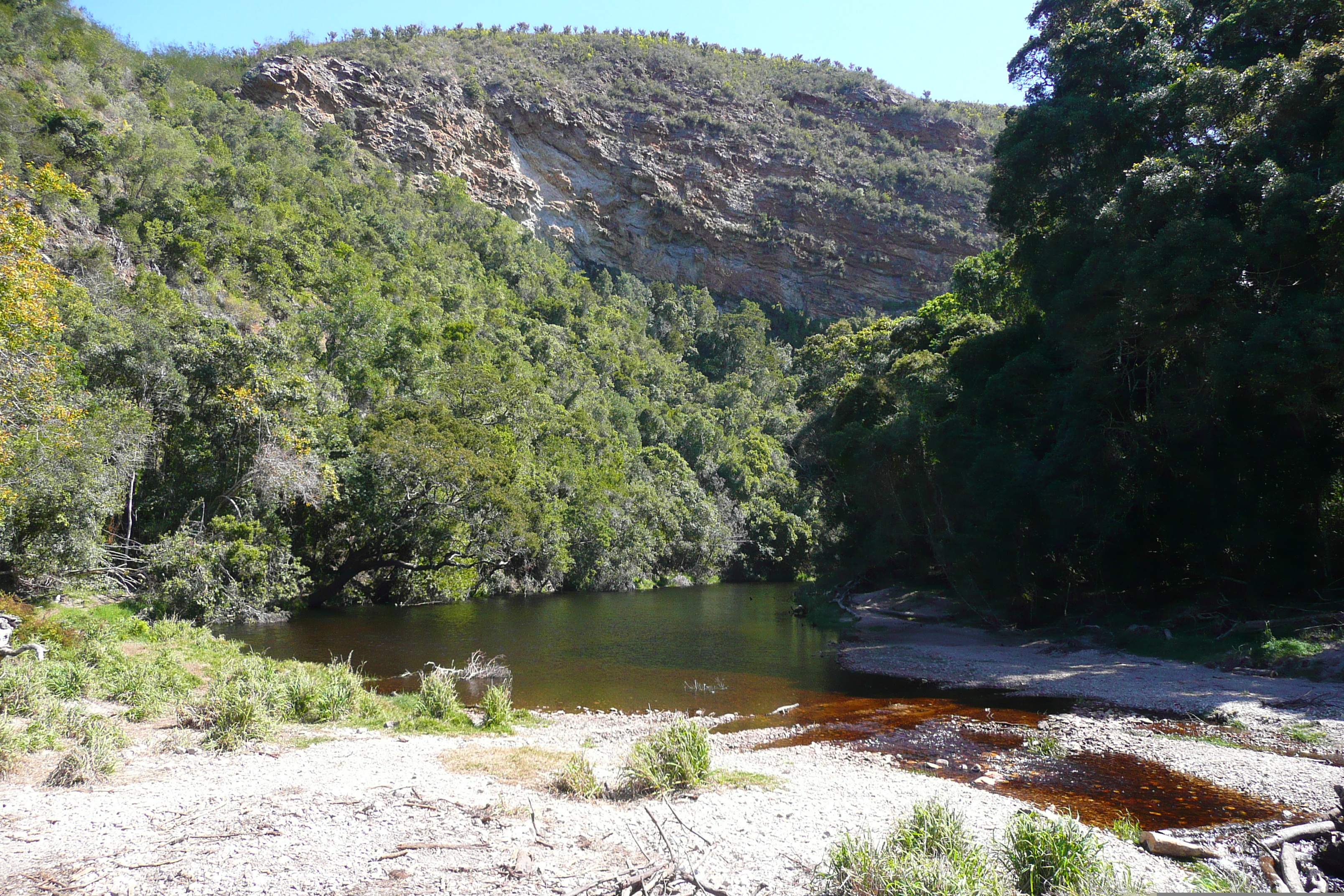 照片 南非(South Africa) 自然谷(Nature's Valley) 2008-09 6
