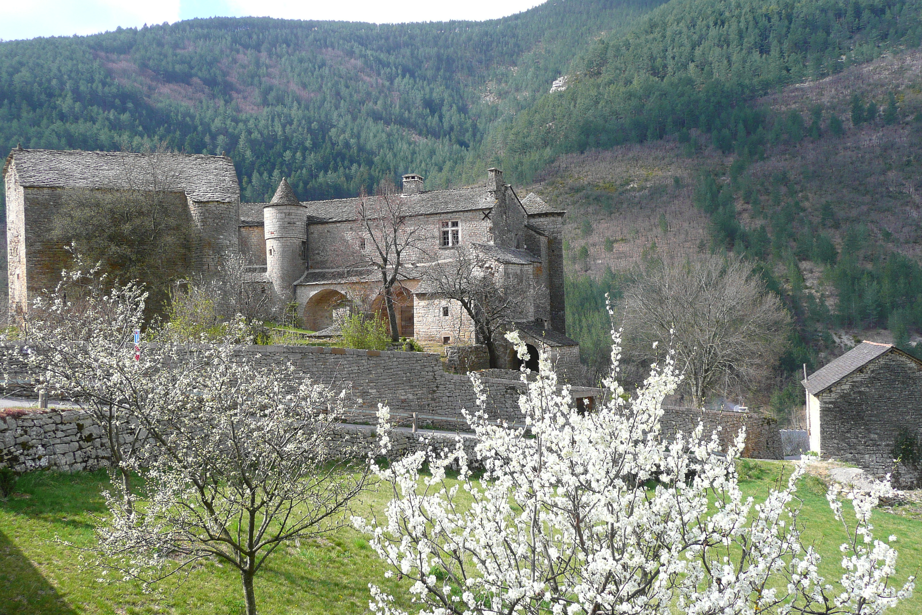 照片 法国(France) 塔恩河(Tarn river) 2008-04 86