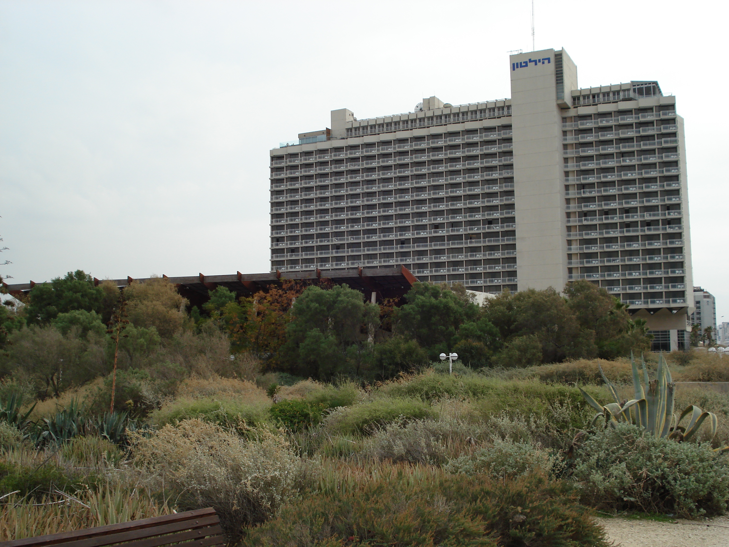 照片 以色列(Israel) 特拉维夫(Tel Aviv) 特拉维夫海岸(Tel Aviv Sea Shore) 2006-12 74