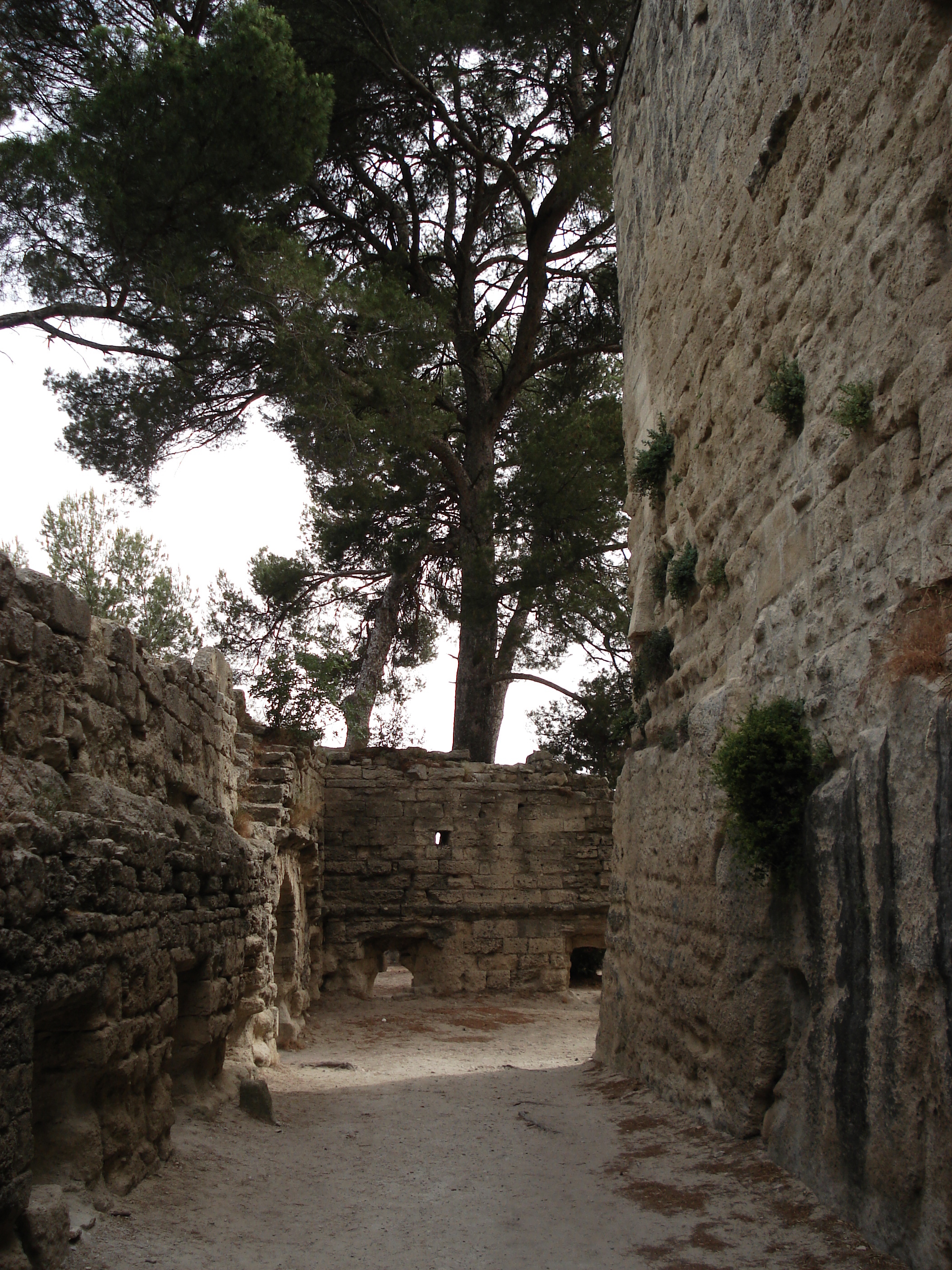 照片 法国(France) 索米耶尔(Sommieres) 2006-06 70