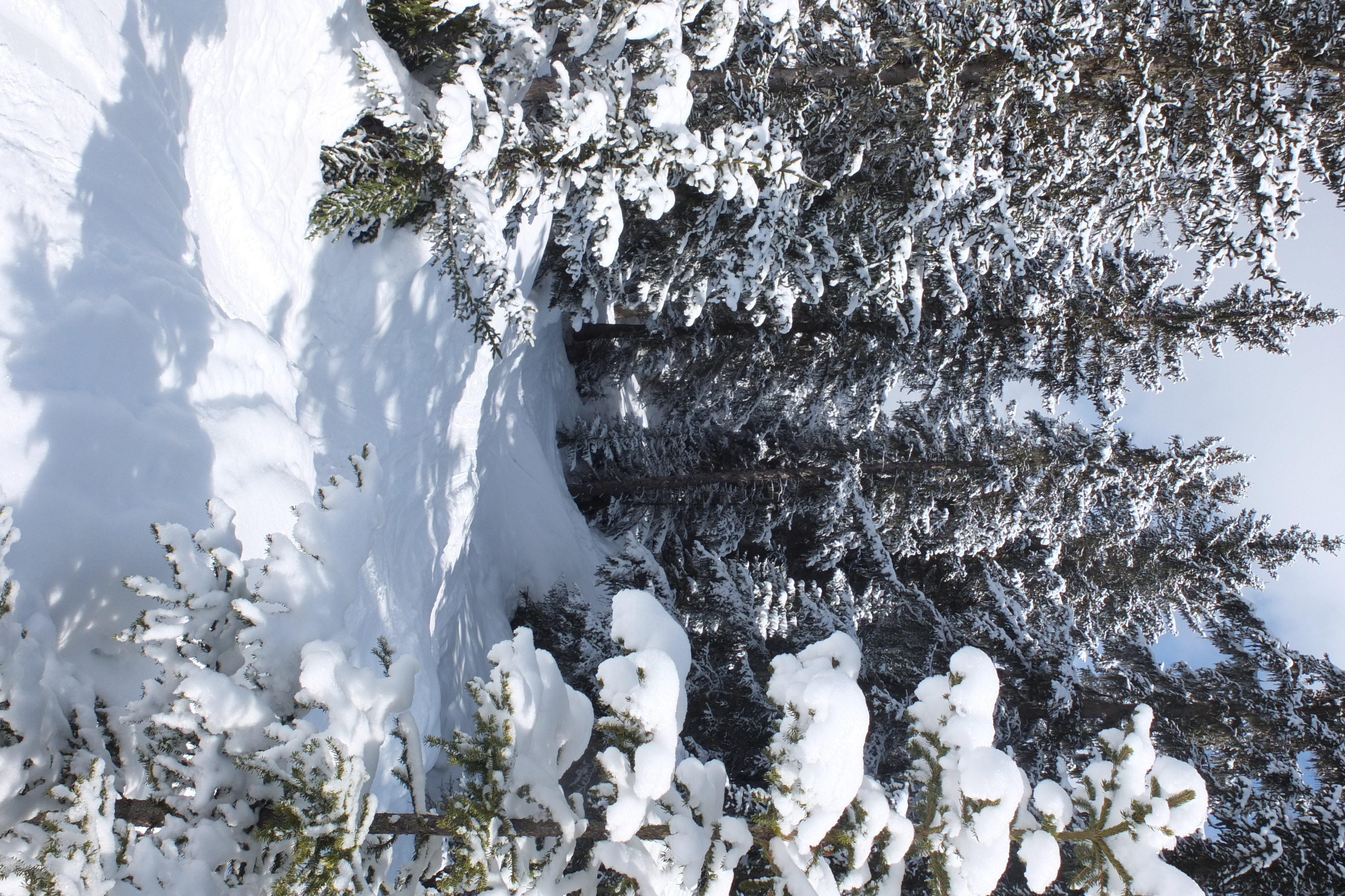 照片 法国(France) 三峡谷滑雪场(Les 3 Vallees) 2013-03 180